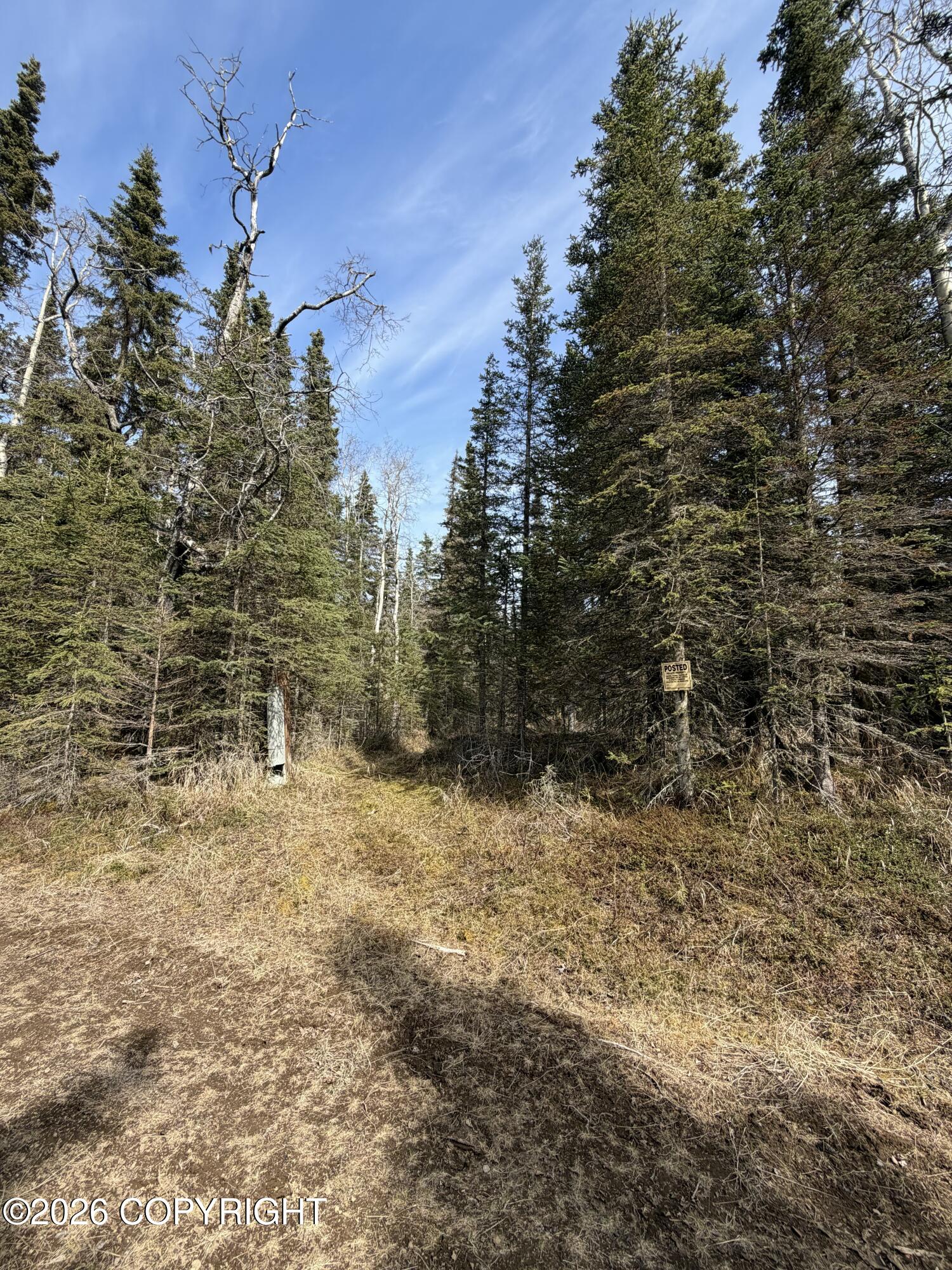 L11 B2 Kasilof Alaska Sub Property Photo 11