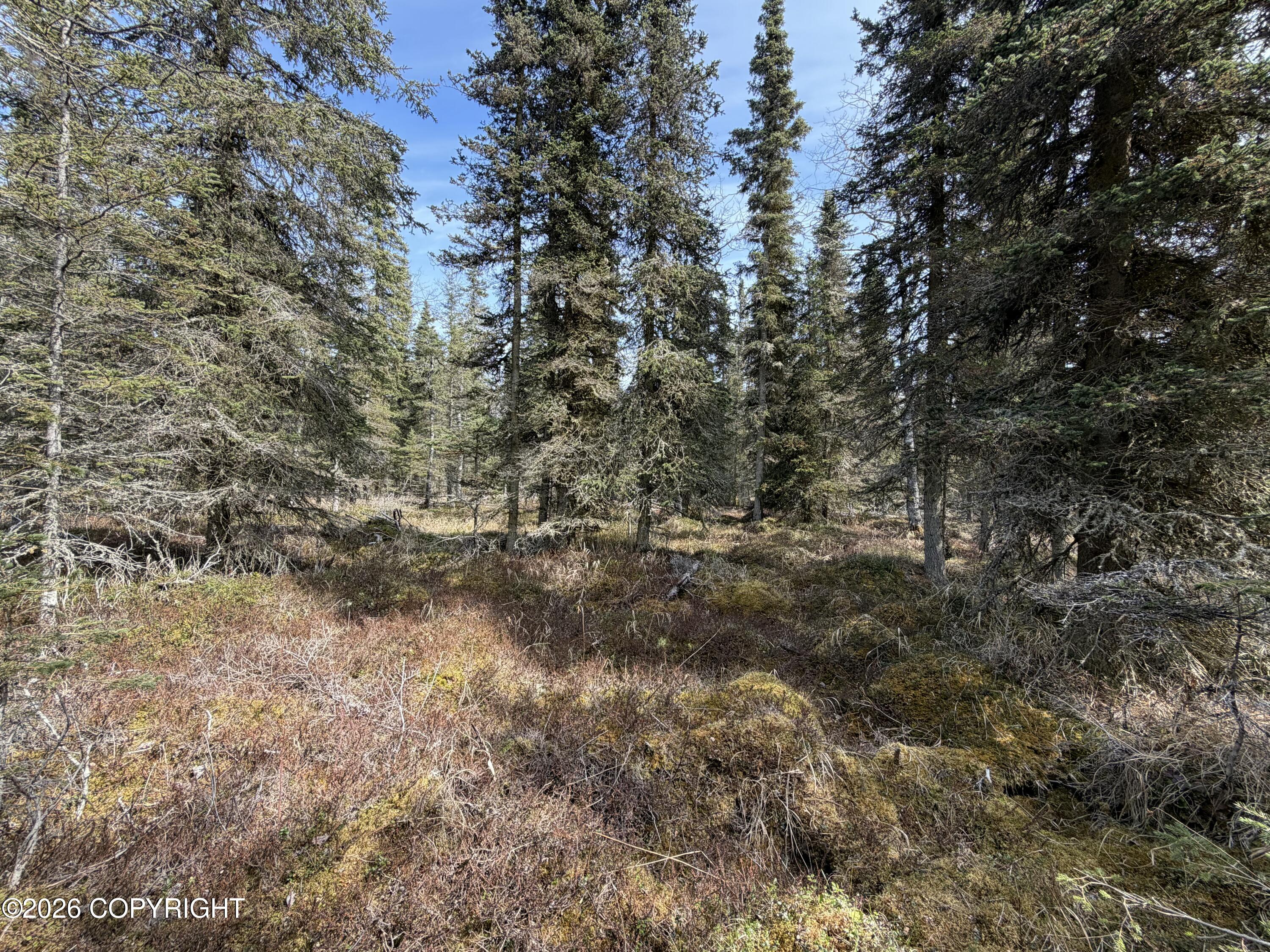 L11 B2 Kasilof Alaska Sub Property Photo 12