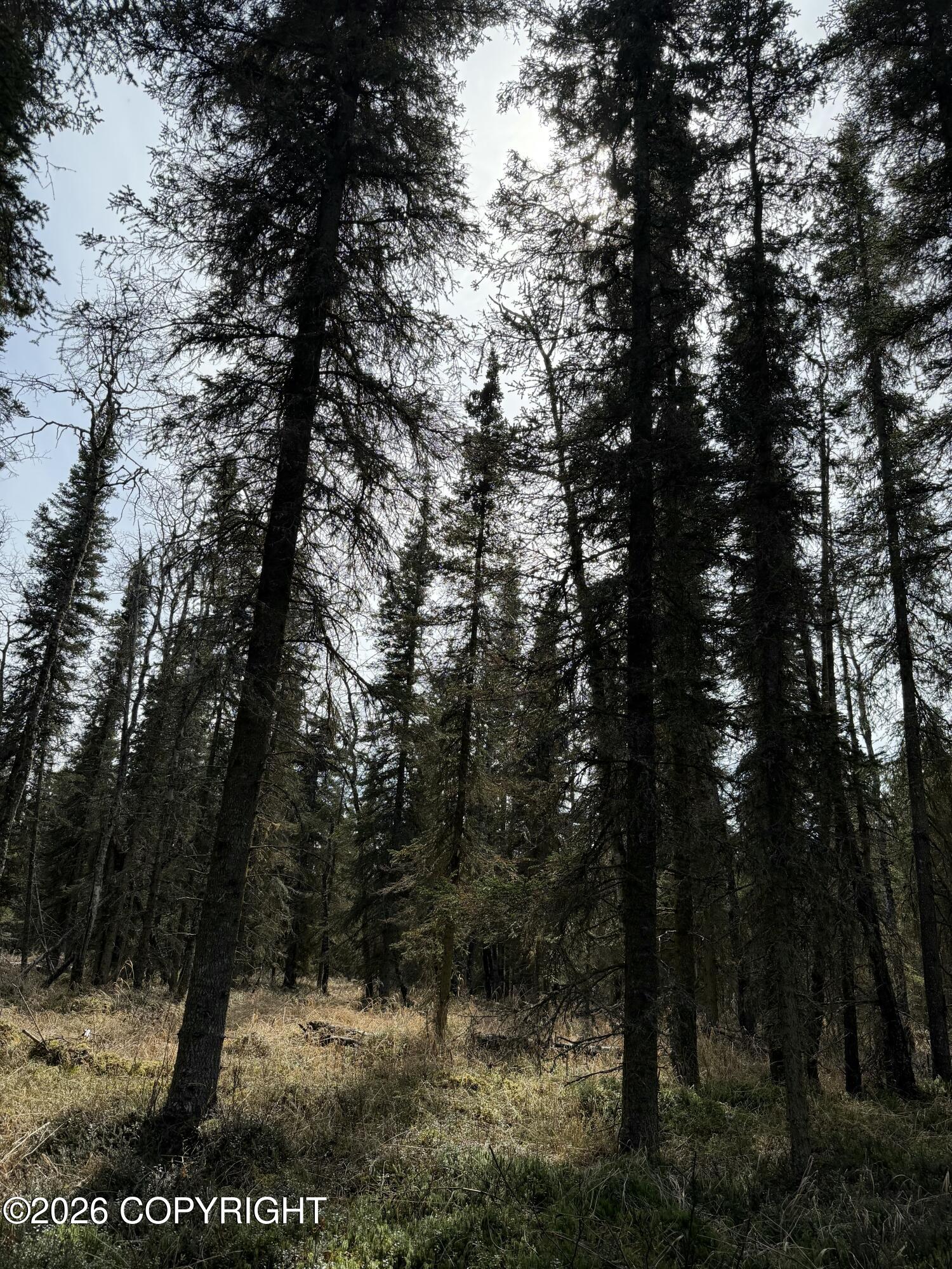 L11 B2 Kasilof Alaska Sub Property Photo 13