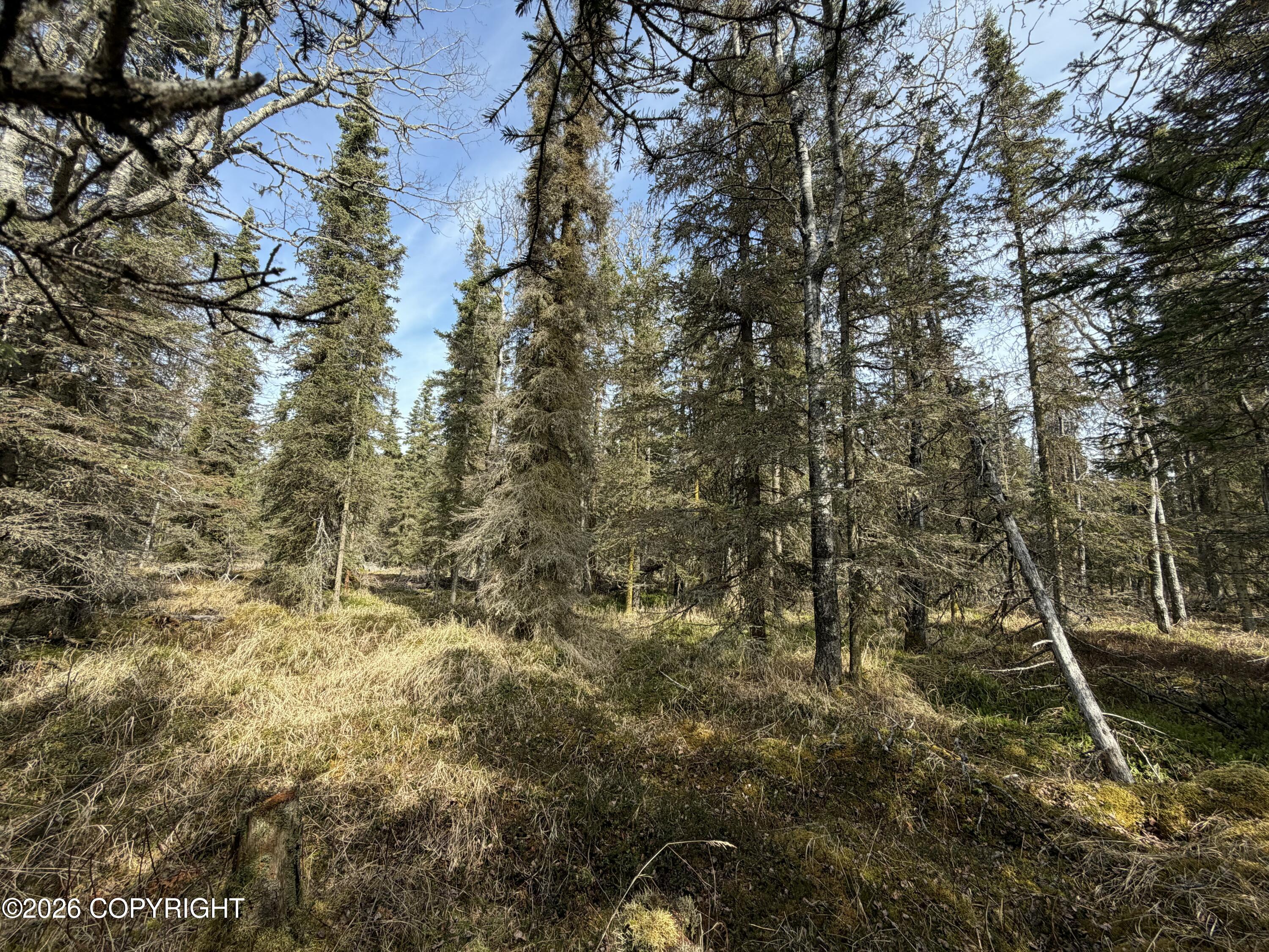 L11 B2 Kasilof Alaska Sub Property Photo 14