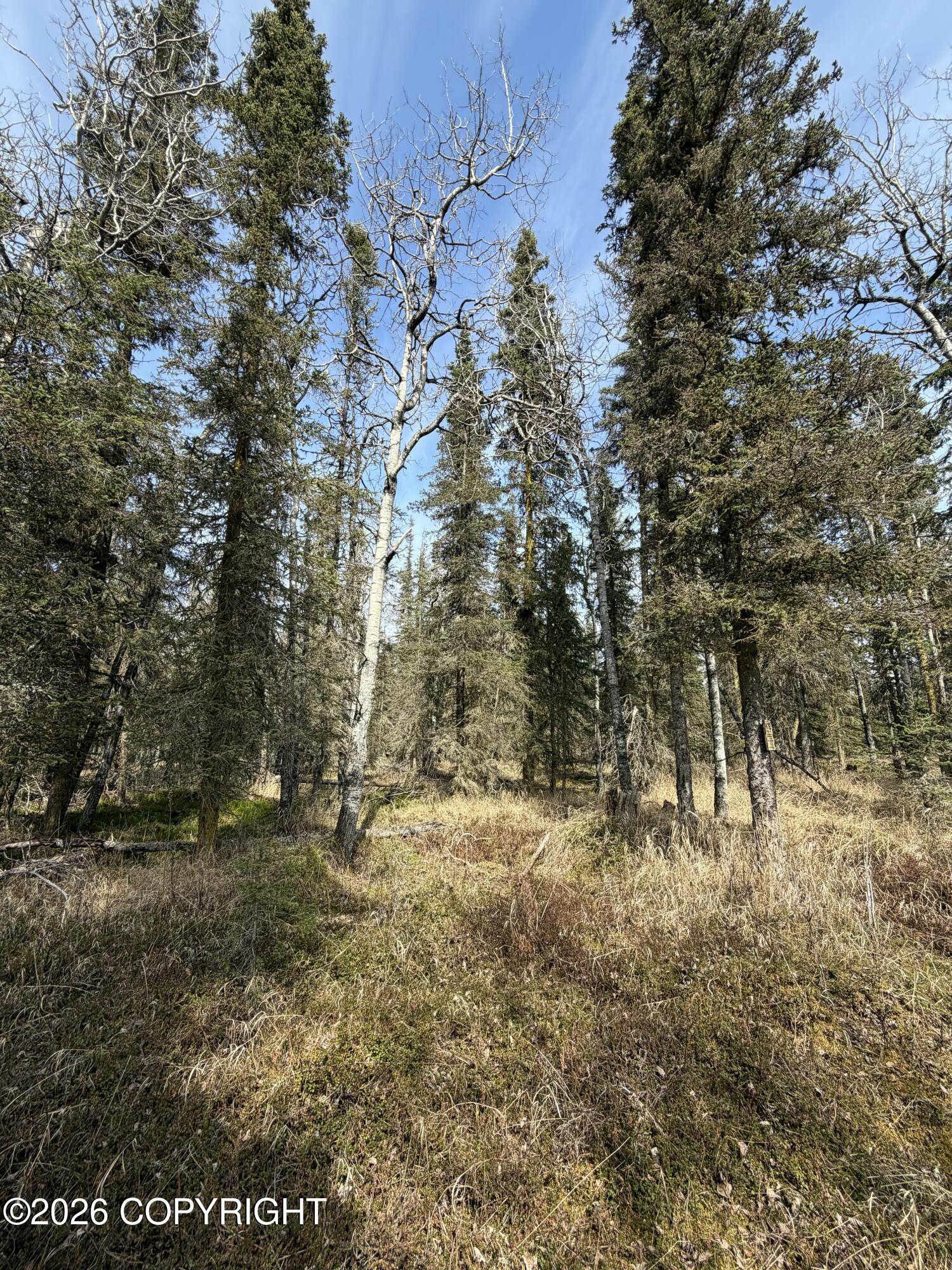L11 B2 Kasilof Alaska Sub Property Photo 15