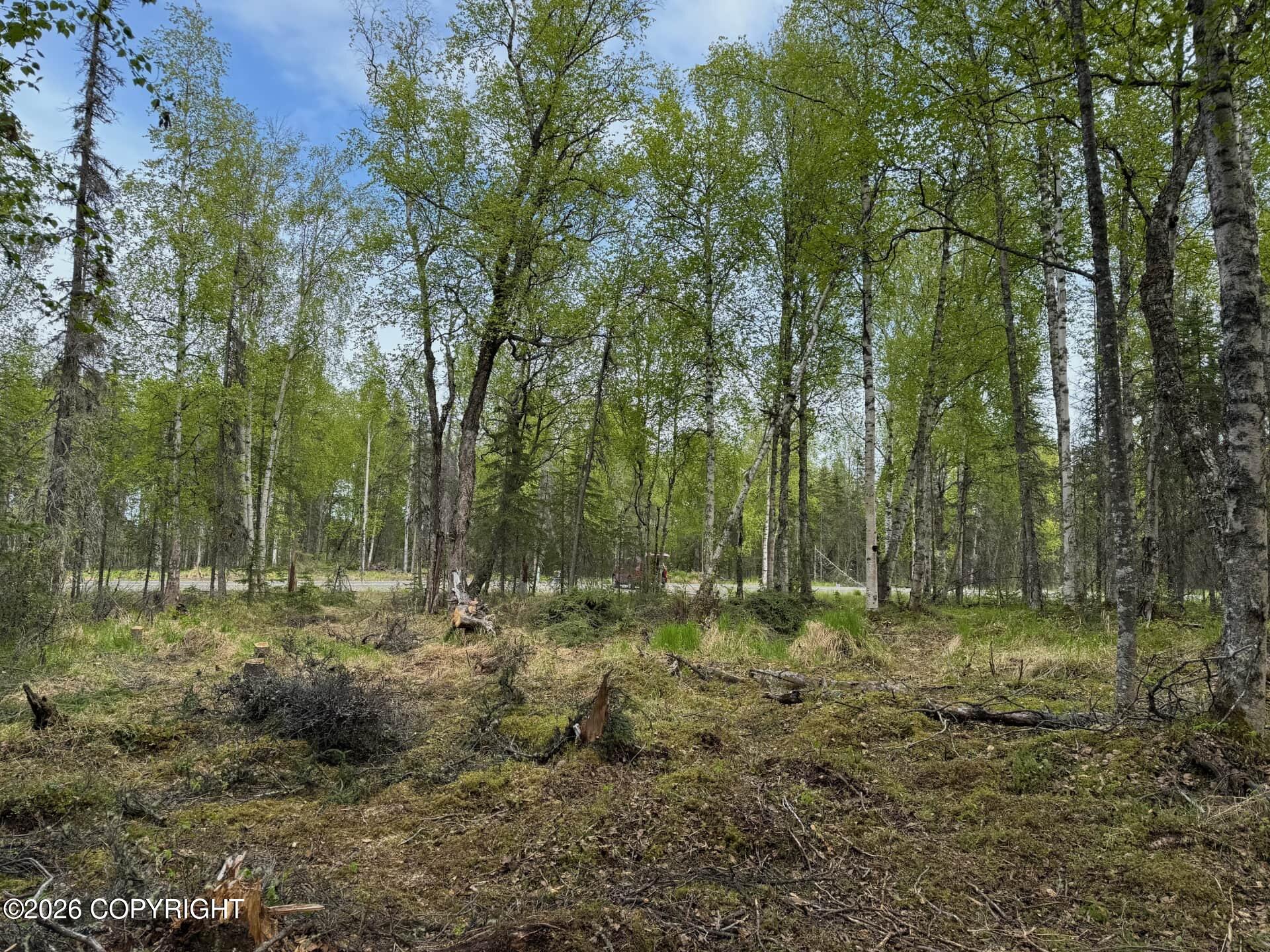 4173 E Harman Property Photo 1