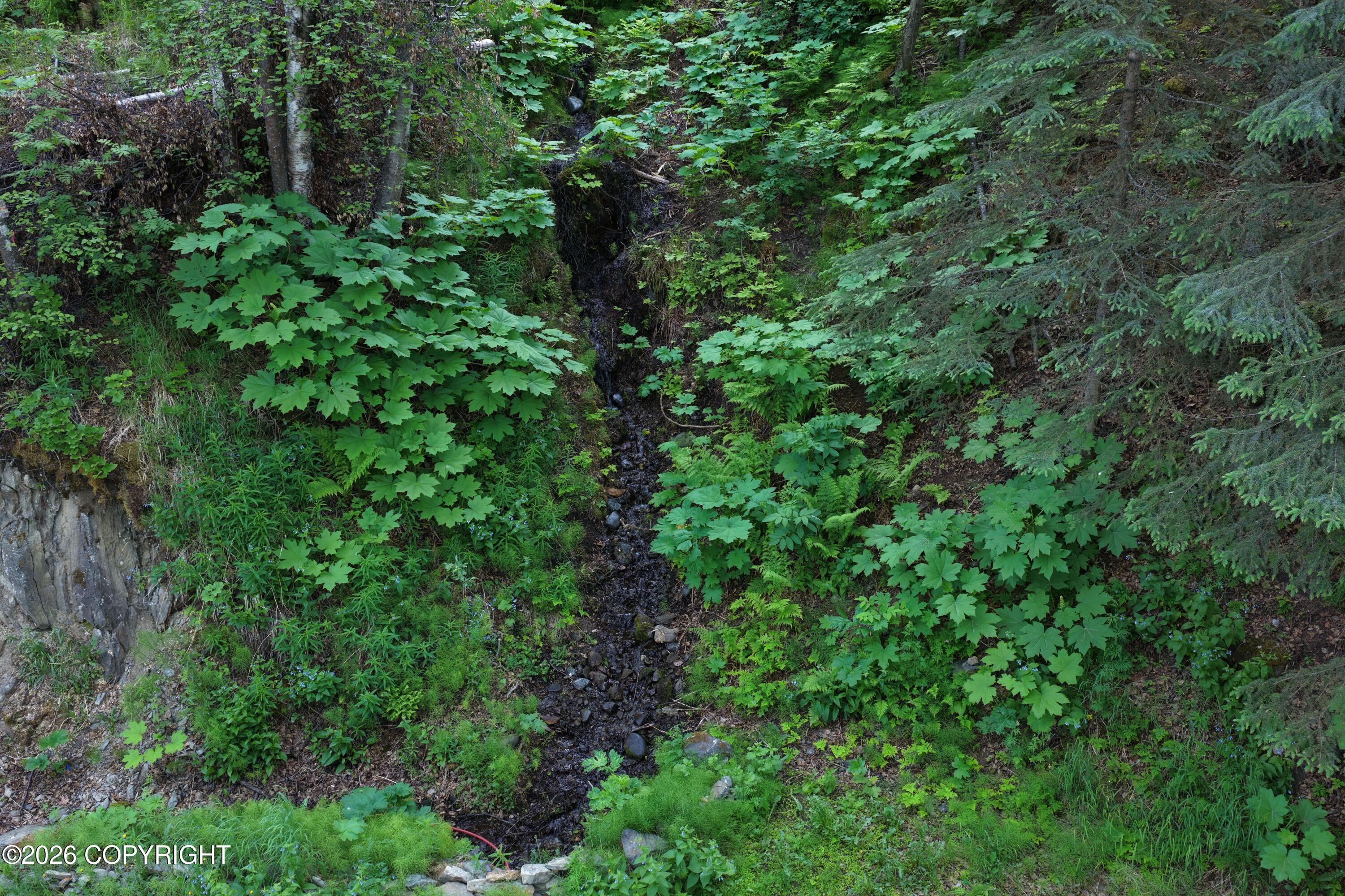 19125 Upper Fish Hatchery Road Property Photo 11