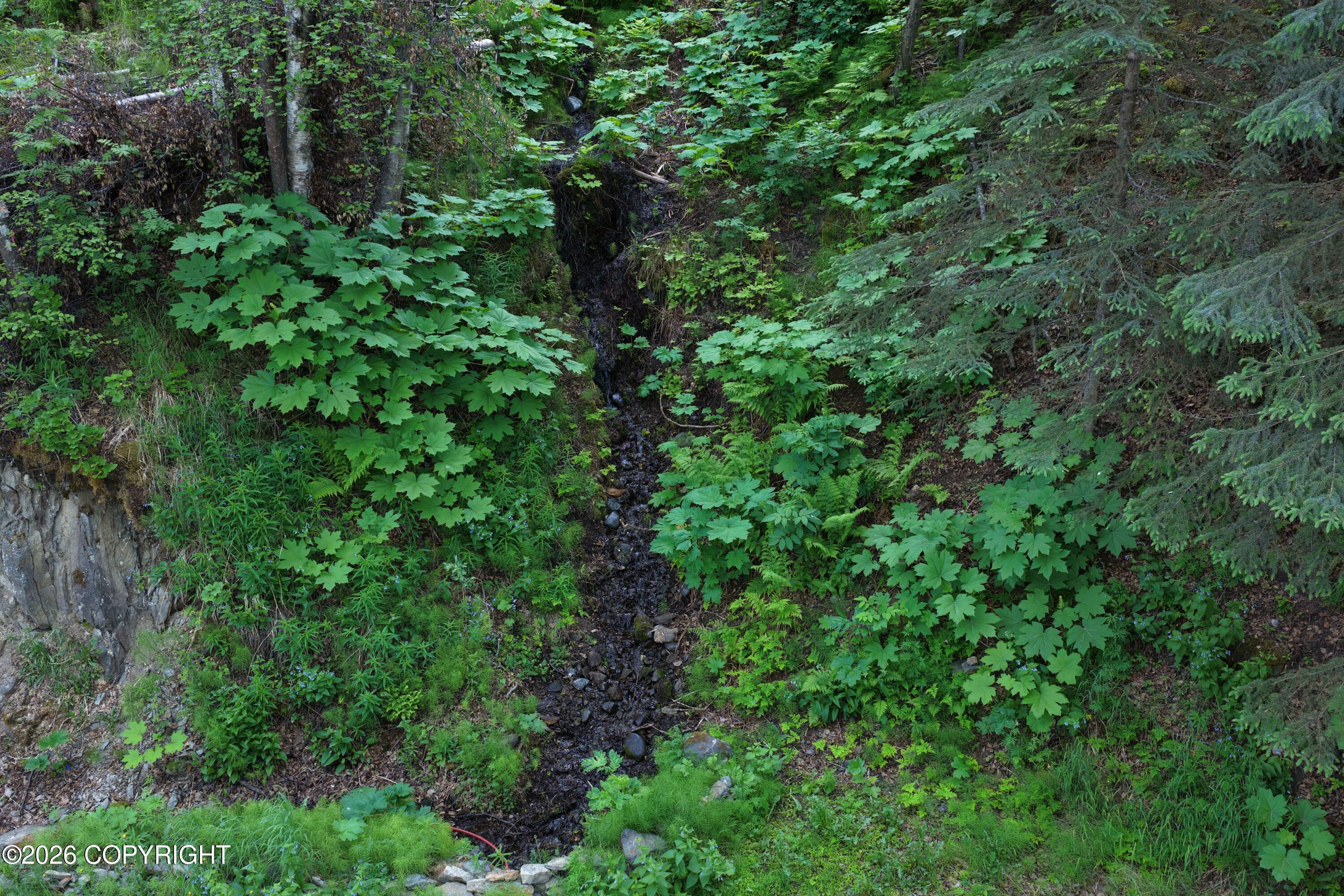 19125 Upper Fish Hatchery Road Property Photo 31