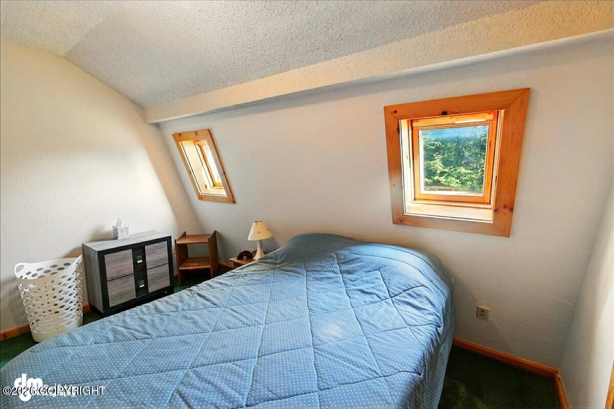 21033 Sterling Highway Property Photo 33