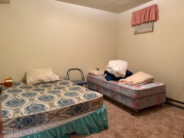 21033 Sterling Highway Property Photo 45
