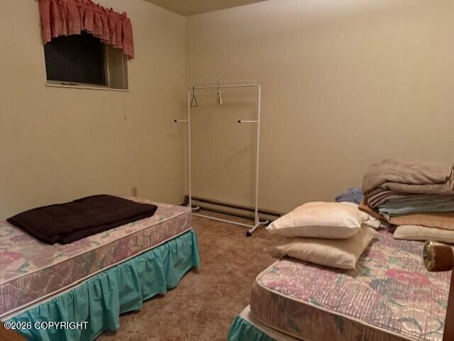 21033 Sterling Highway Property Photo 46