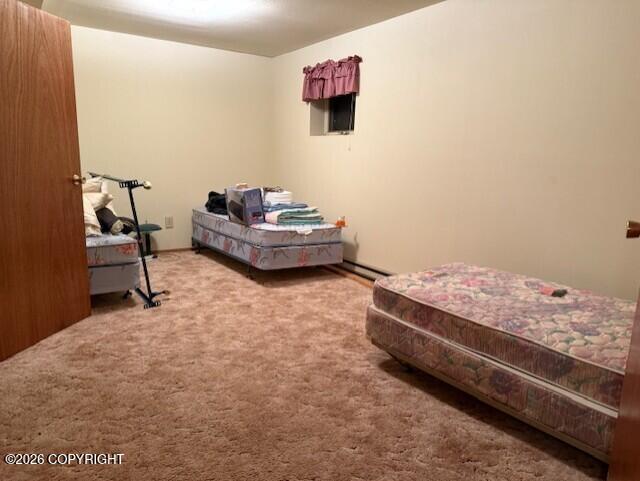 21033 Sterling Highway Property Photo 47