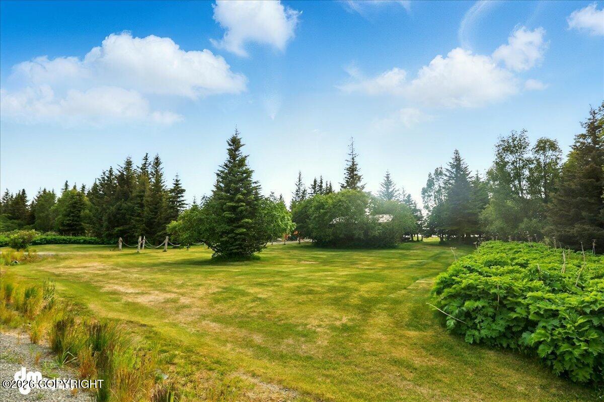 21033 Sterling Highway Property Photo 74