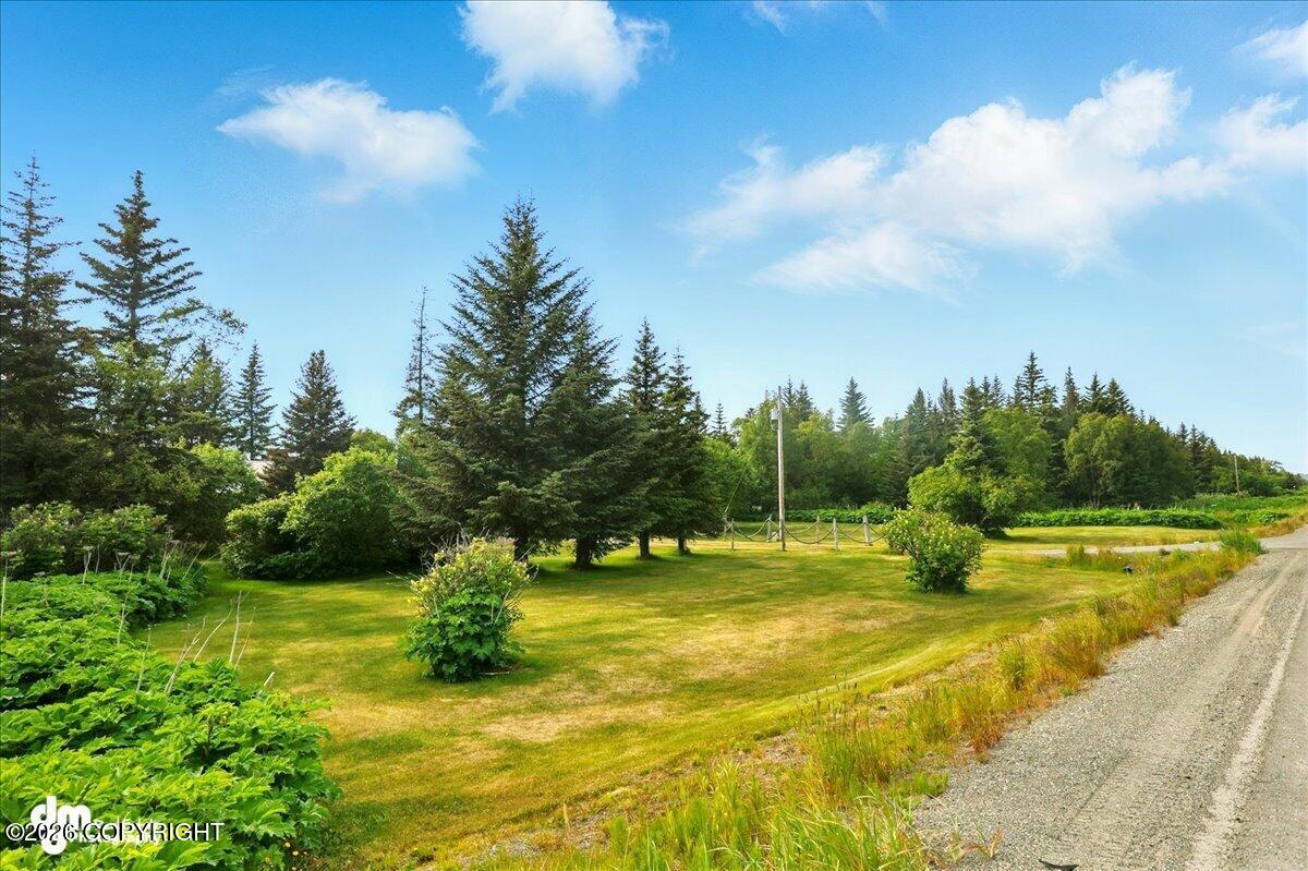 21033 Sterling Highway Property Photo 76
