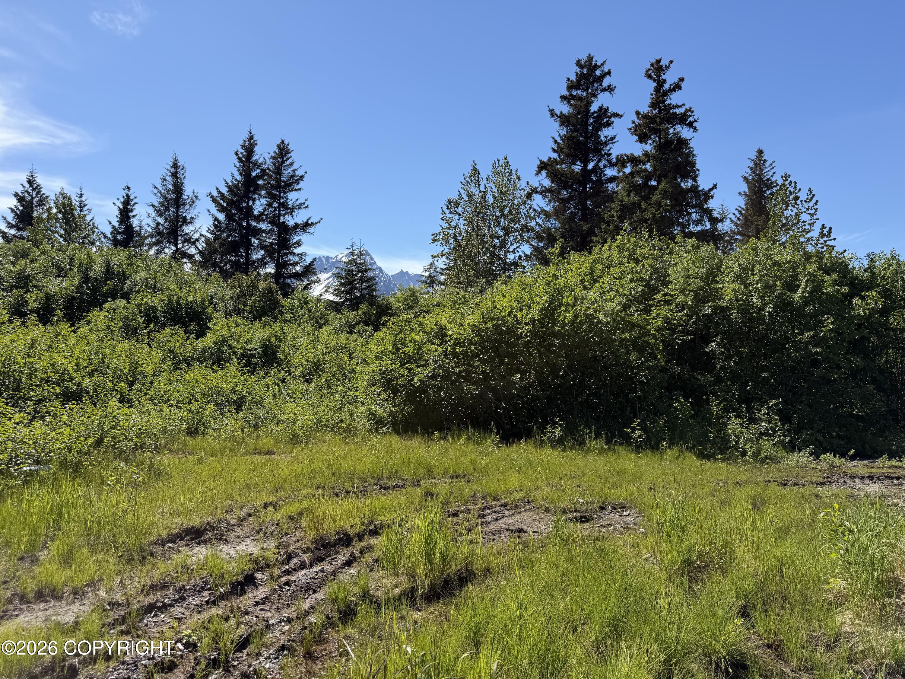 33123 Clyde King Road Property Photo 2