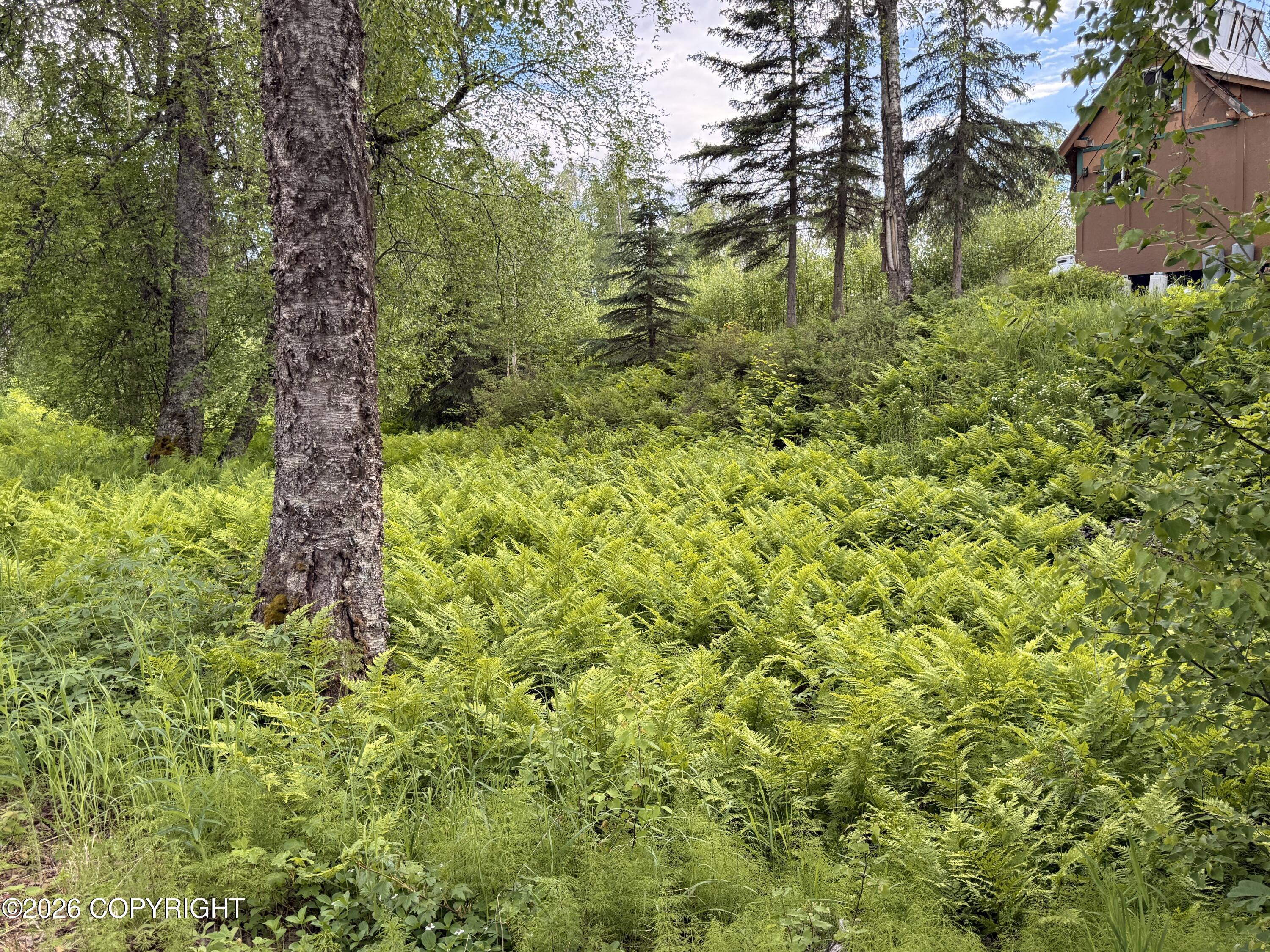 21148 E Alatna Road Property Photo 30
