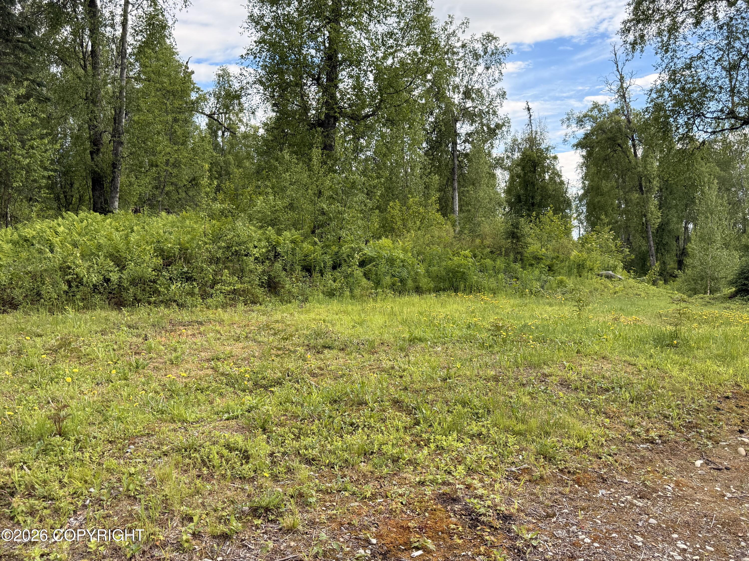 21148 E Alatna Road Property Photo 51