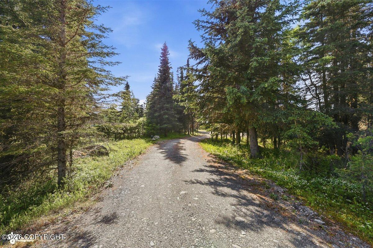 16389 Easy Street Property Photo 47