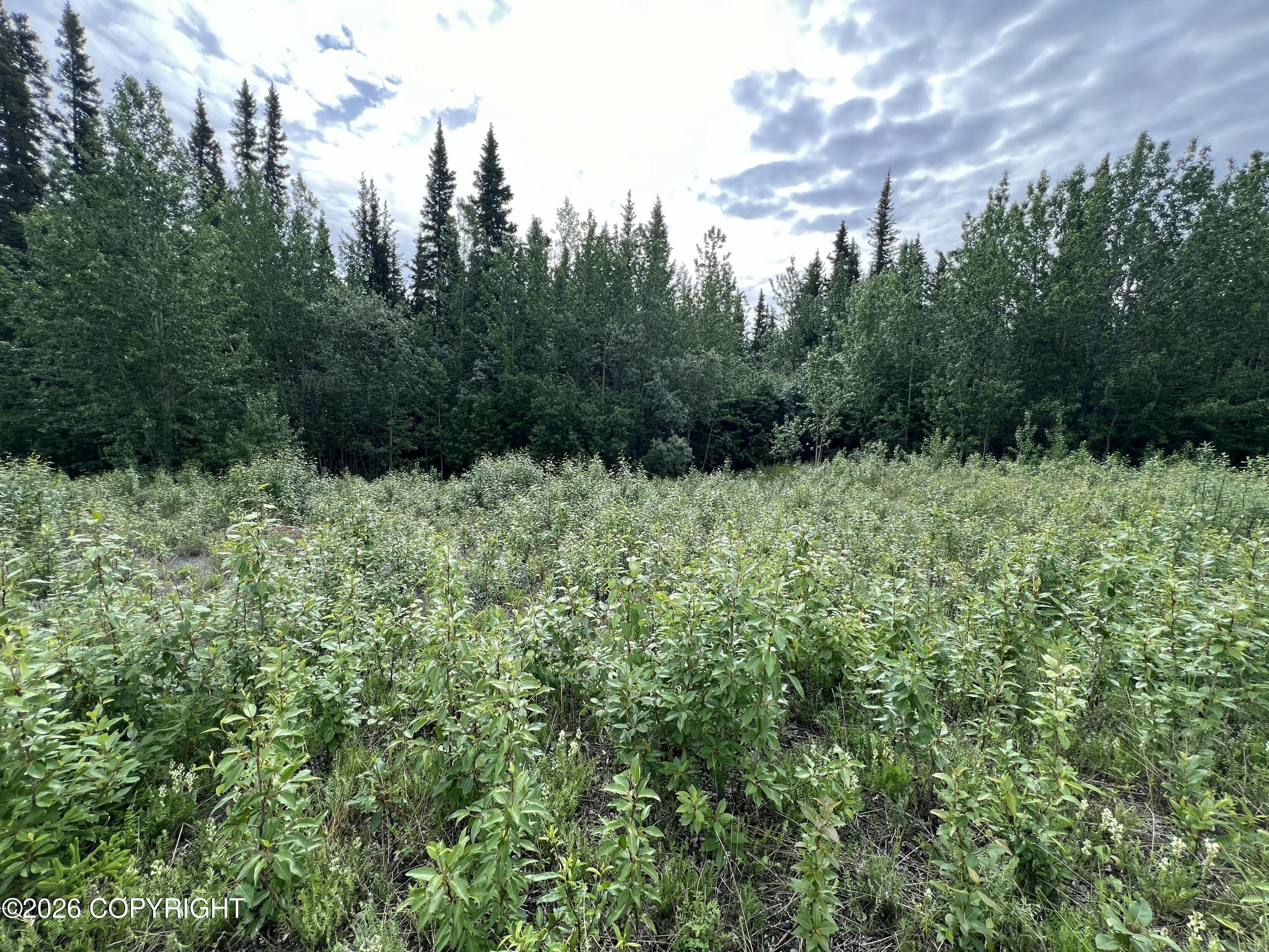 Mm 68 Tok Cutoff Highway Property Photo 3