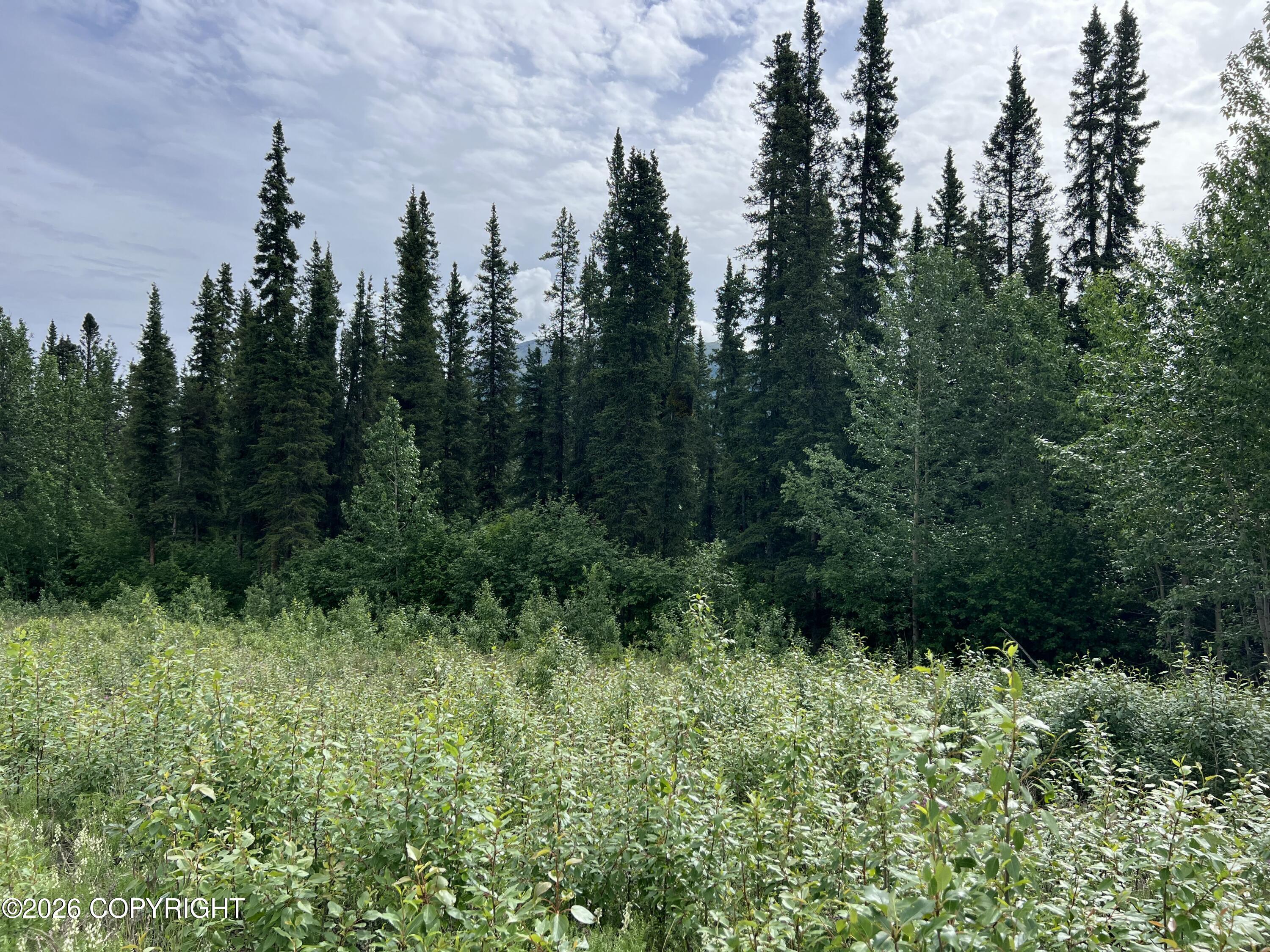 Mm 68 Tok Cutoff Highway Property Photo 4
