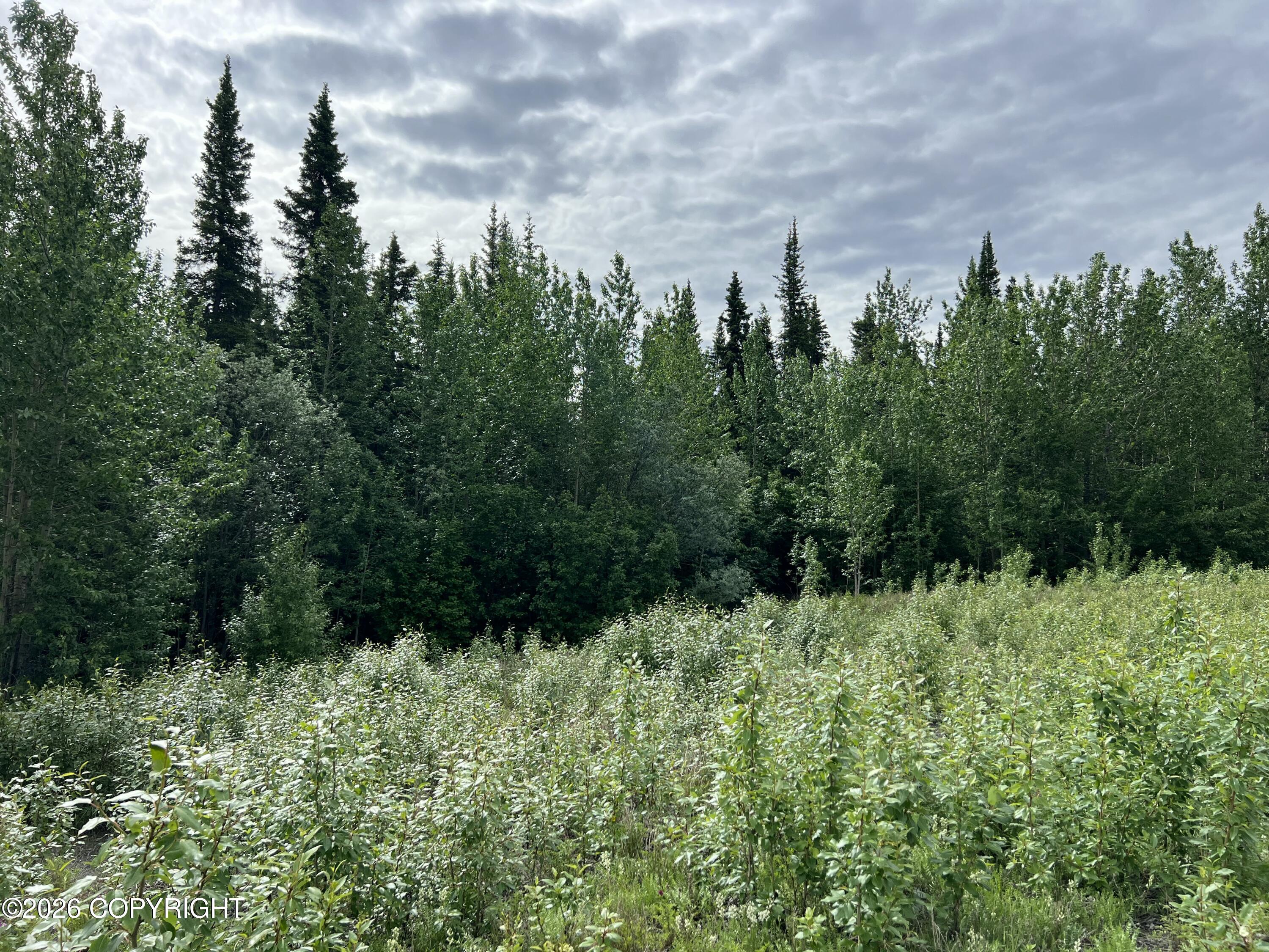 Mm 68 Tok Cutoff Highway Property Photo 5