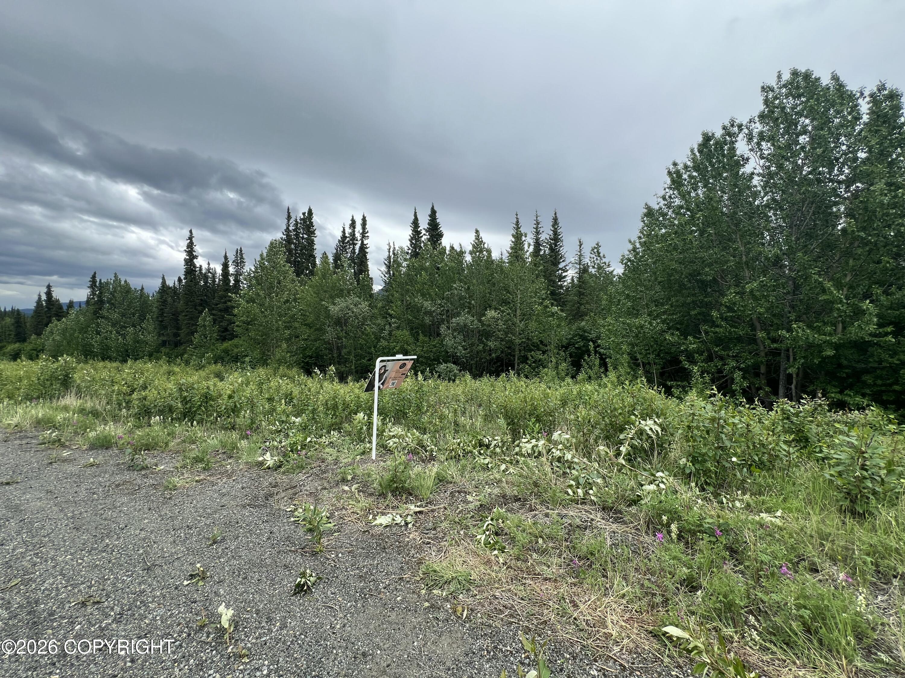 Mm 68 Tok Cutoff Highway Property Photo 6