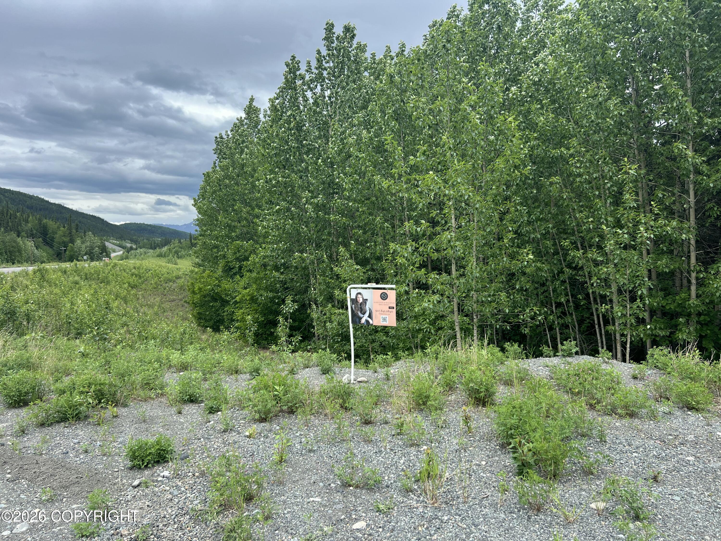 Mm 68 Tok Cutoff Highway Property Photo 7