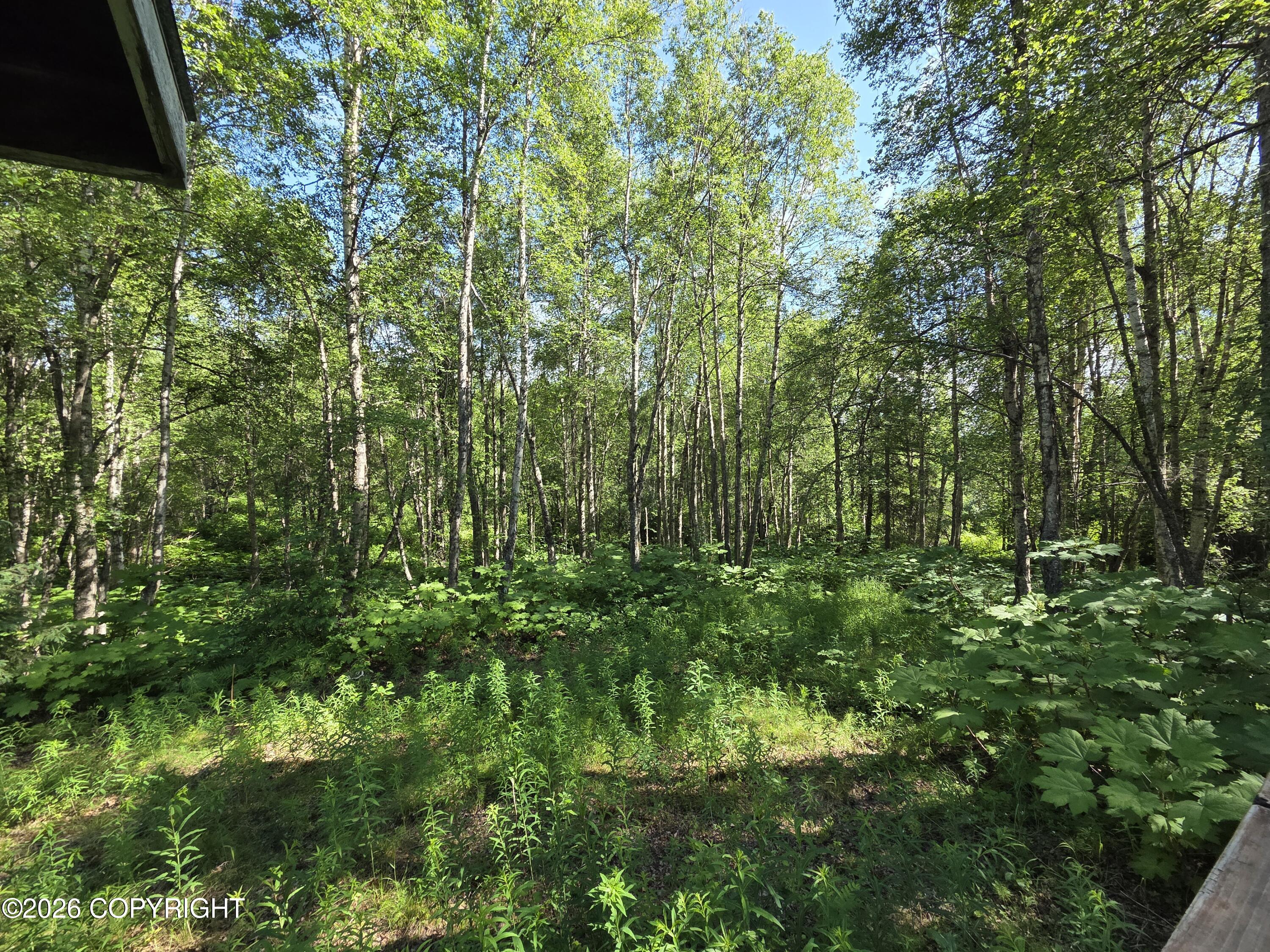 33277 S Mckinley View Drive Property Photo 10