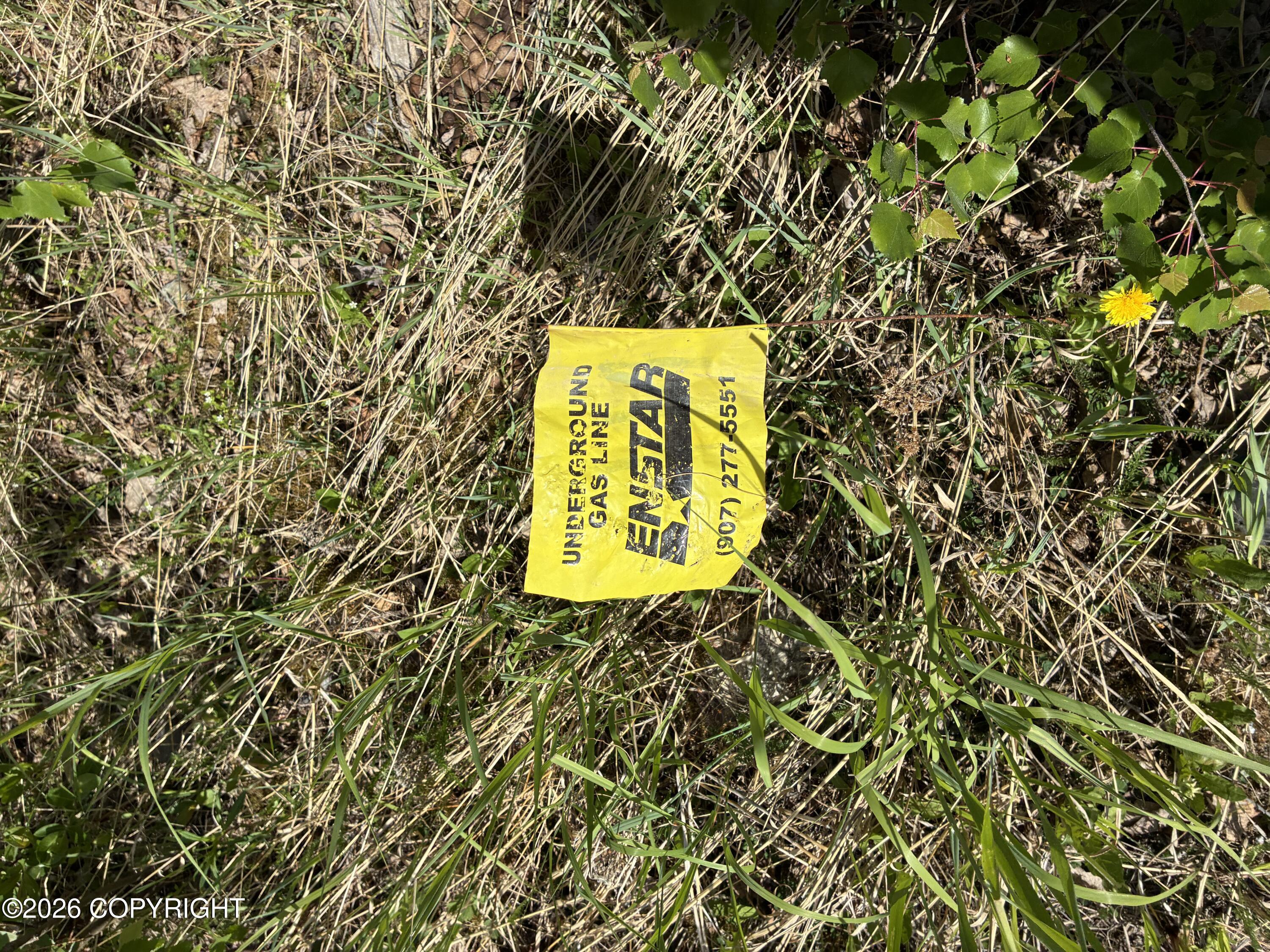 3846 N White Knight Drive Property Photo 13