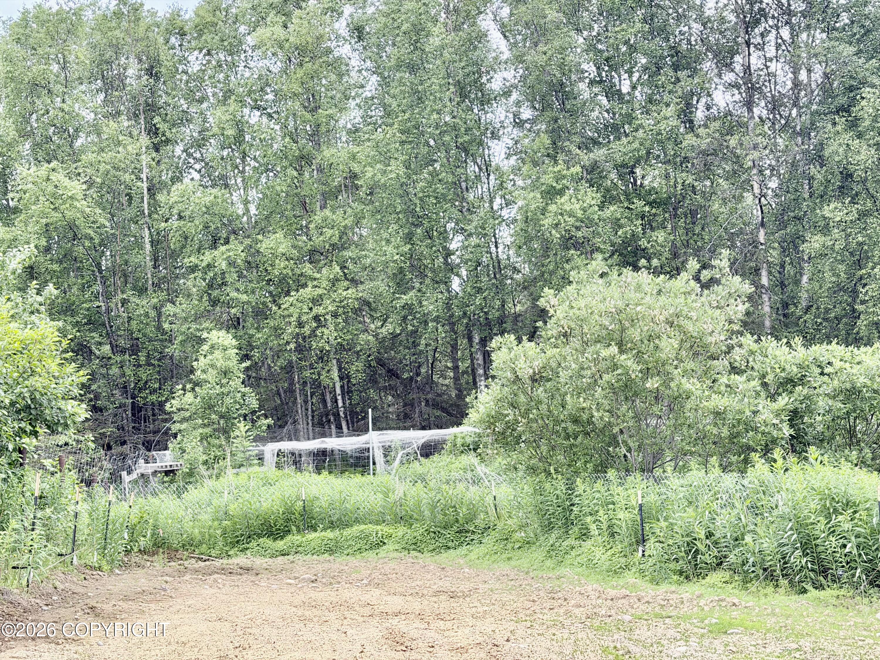 52993 Tenakee Loop Property Photo 17