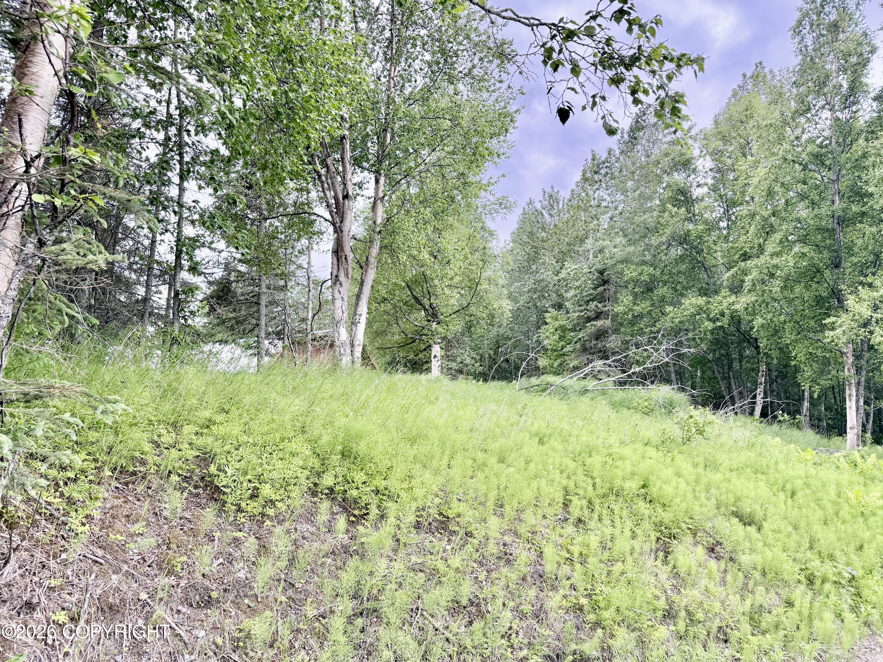 52993 Tenakee Loop Property Photo 20