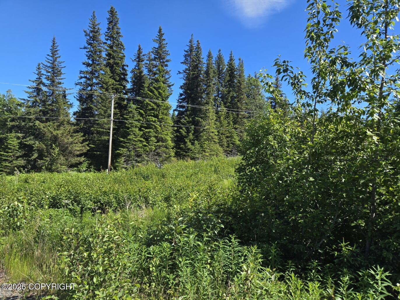 34700 Sterling Highway Property Photo 2