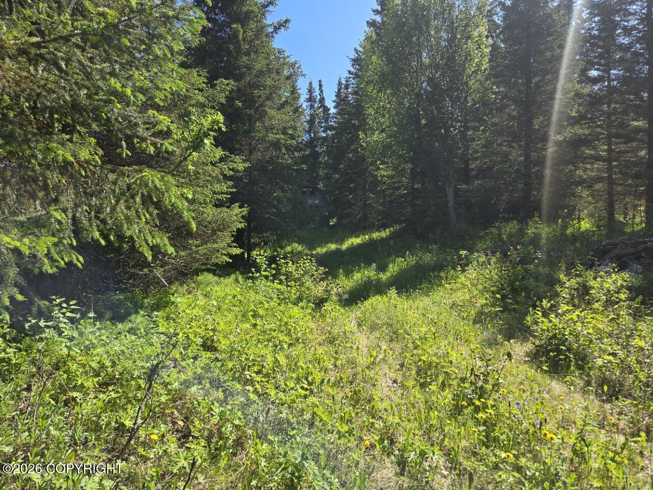 34700 Sterling Highway Property Photo 3