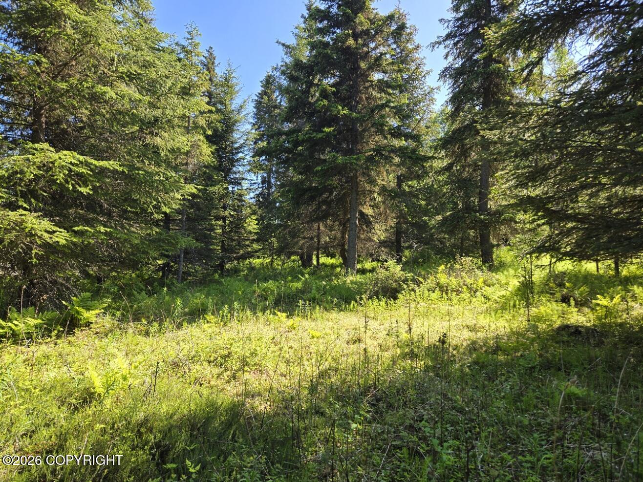 34700 Sterling Highway Property Photo 6