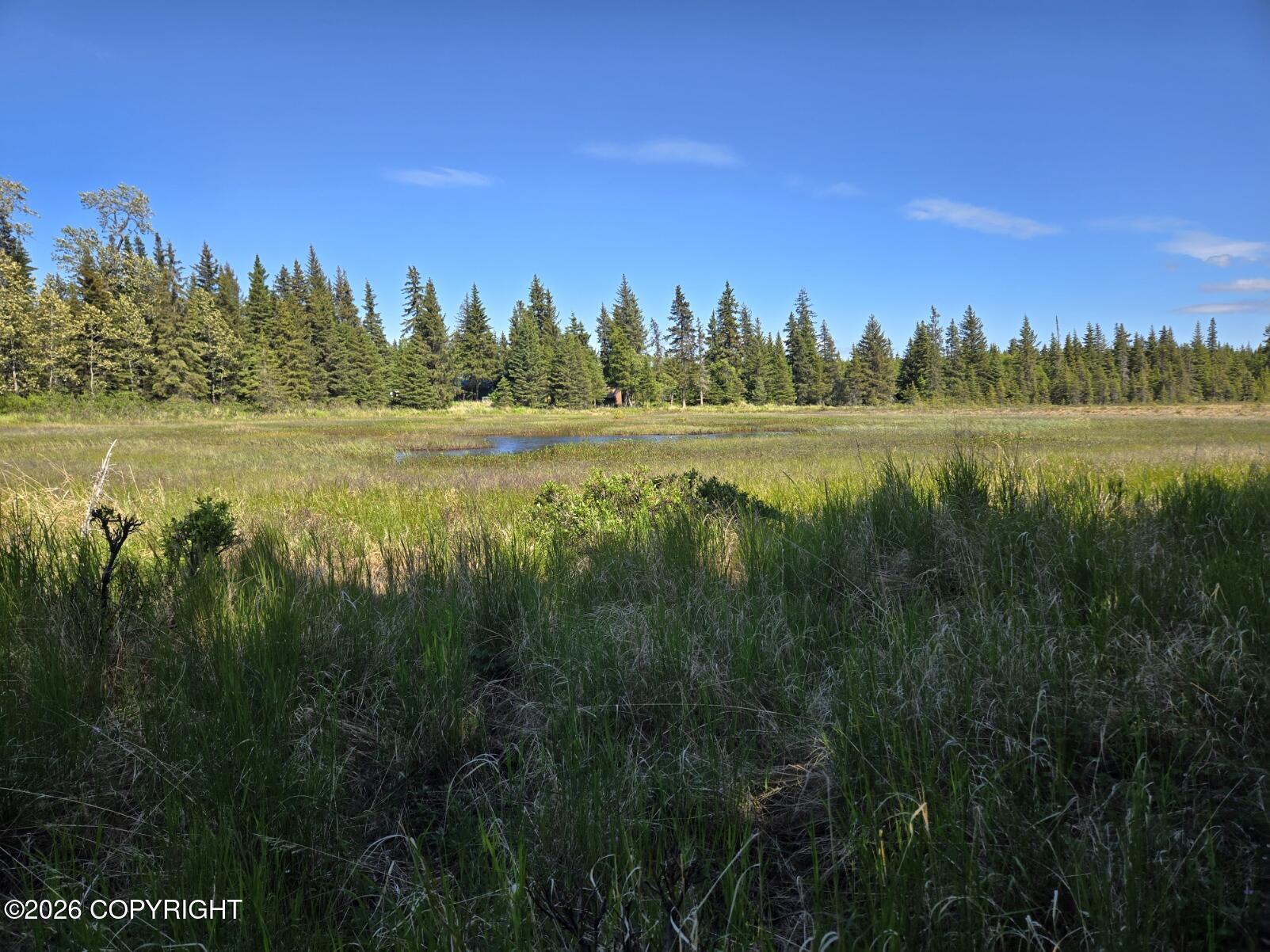 34700 Sterling Highway Property Photo 7