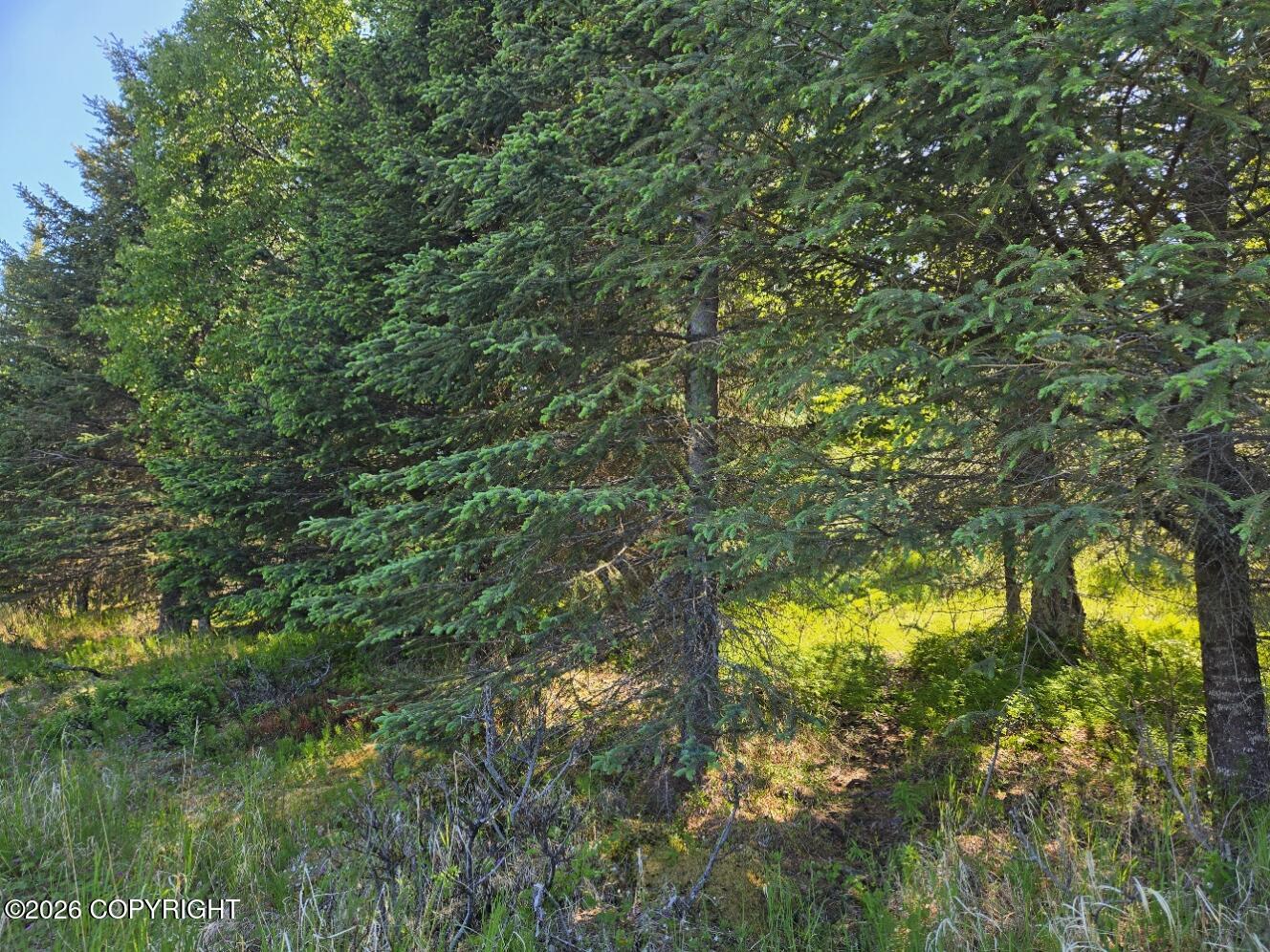 34700 Sterling Highway Property Photo 8