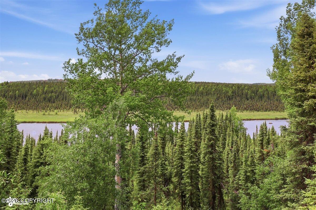 39465 Otter Trail Road Property Photo 69