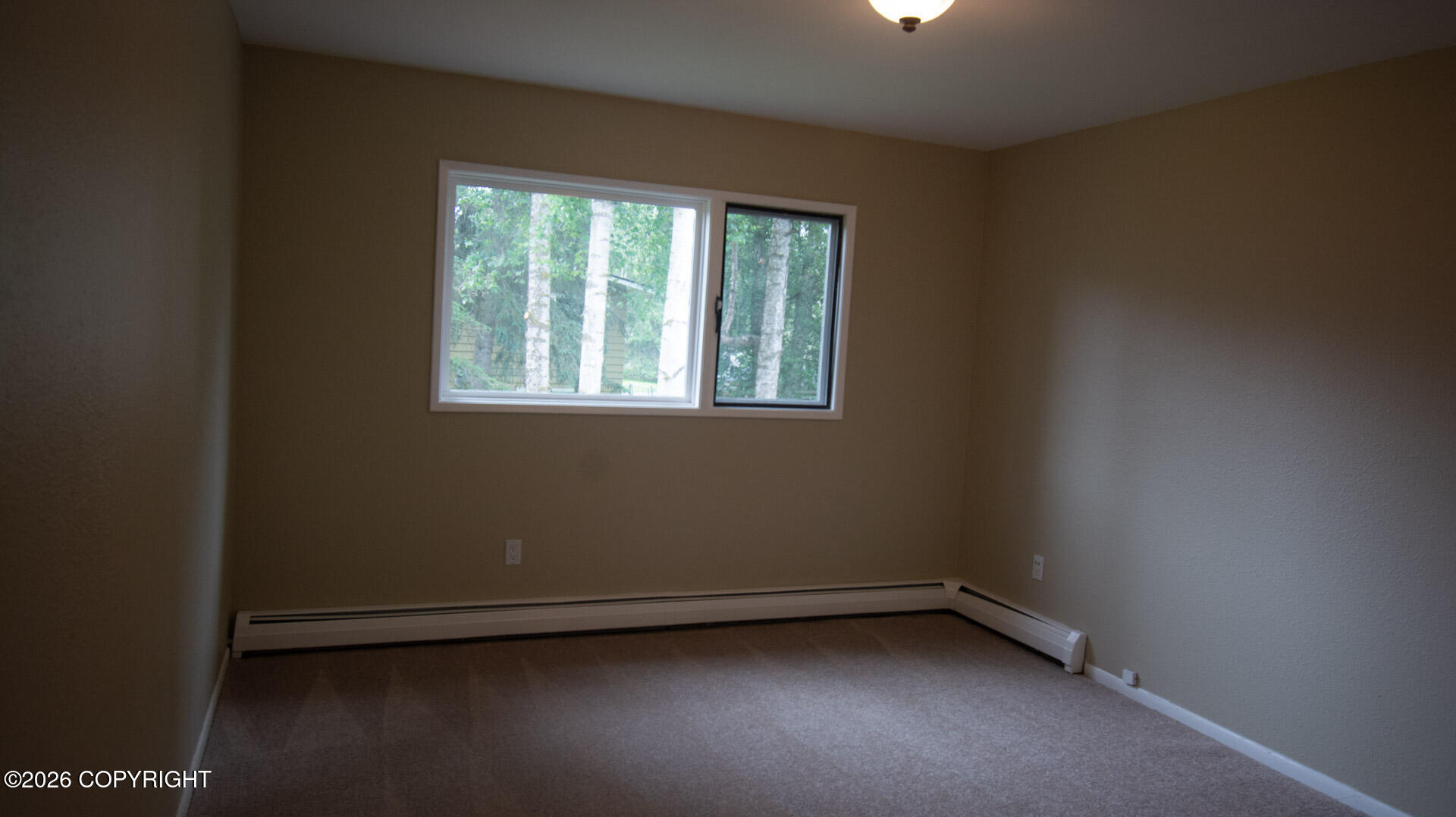 2419 Glenkerry Drive Property Photo 15