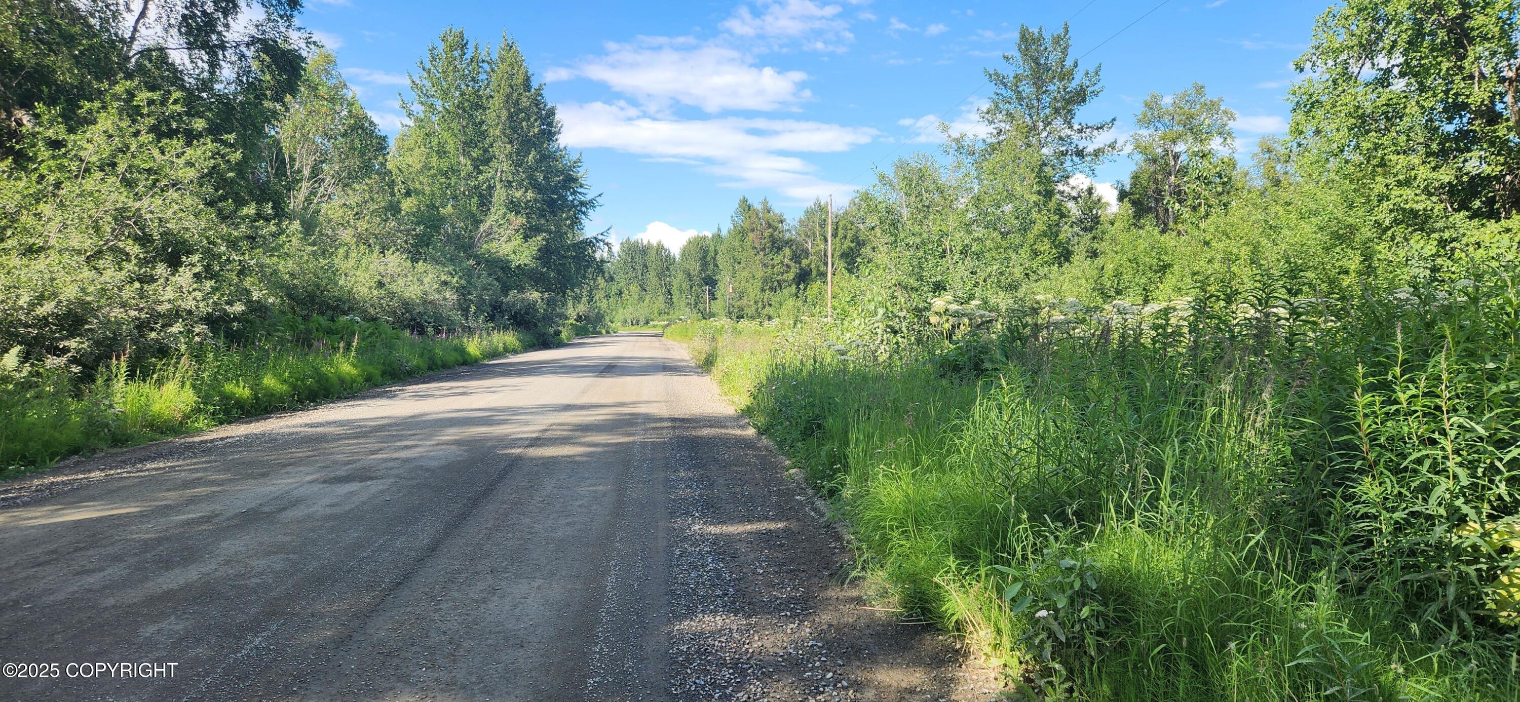 11231 E Wolf Trail Property Photo 23