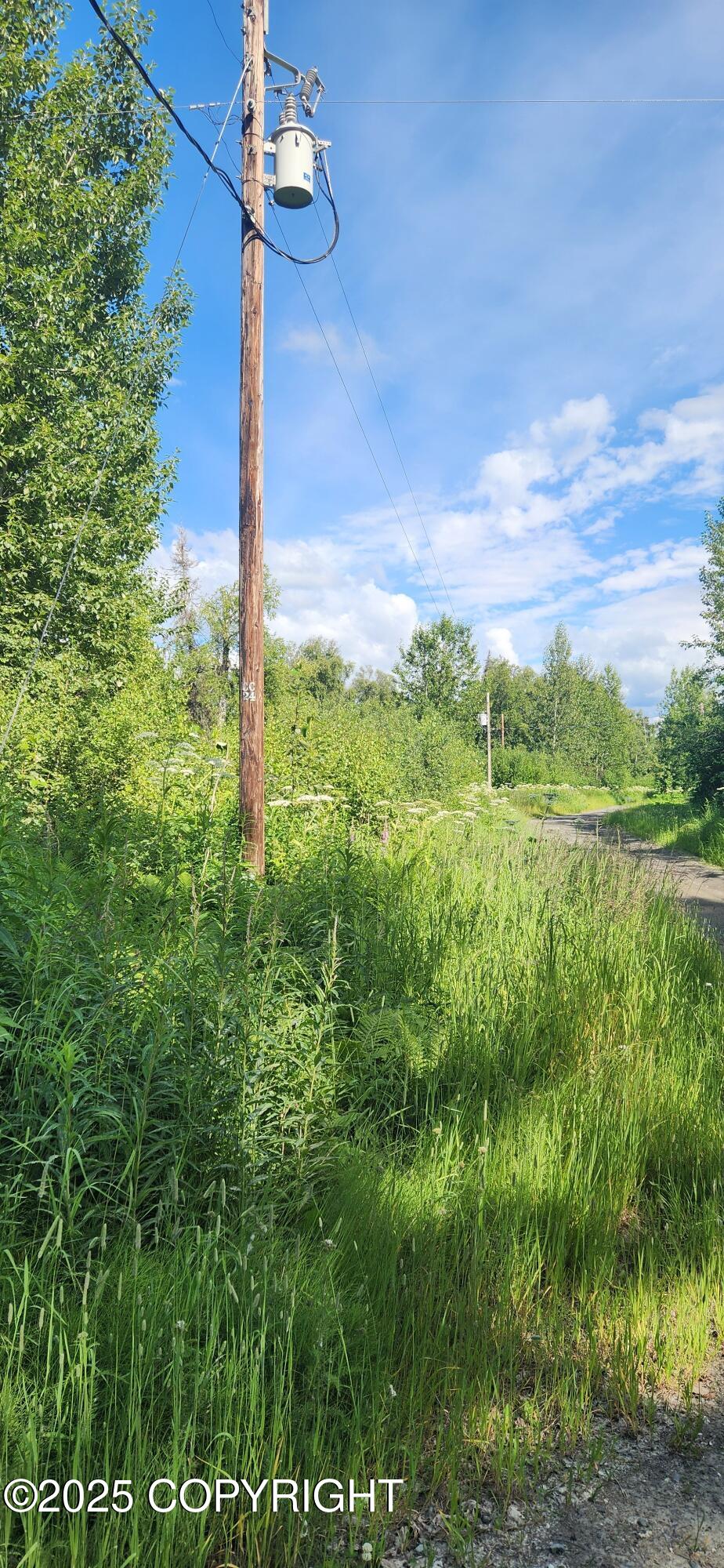 11231 E Wolf Trail Property Photo 24