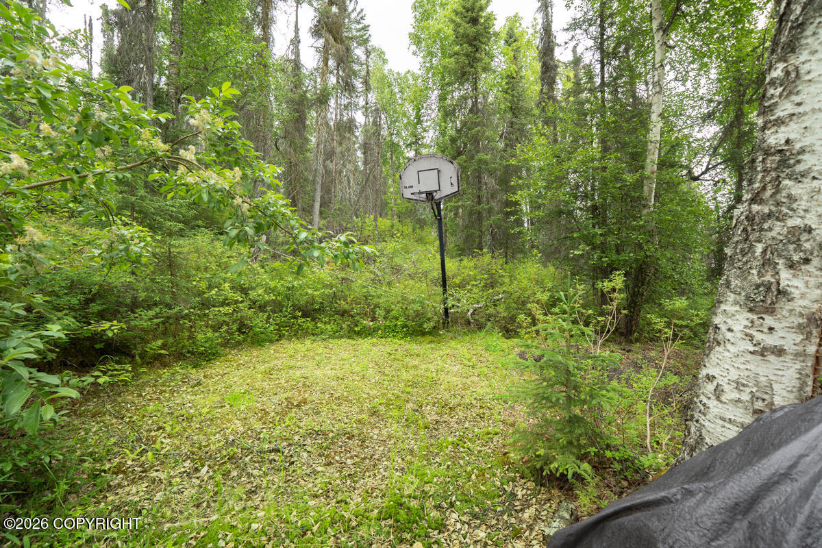 L1 Nancy Knob Property Photo 25