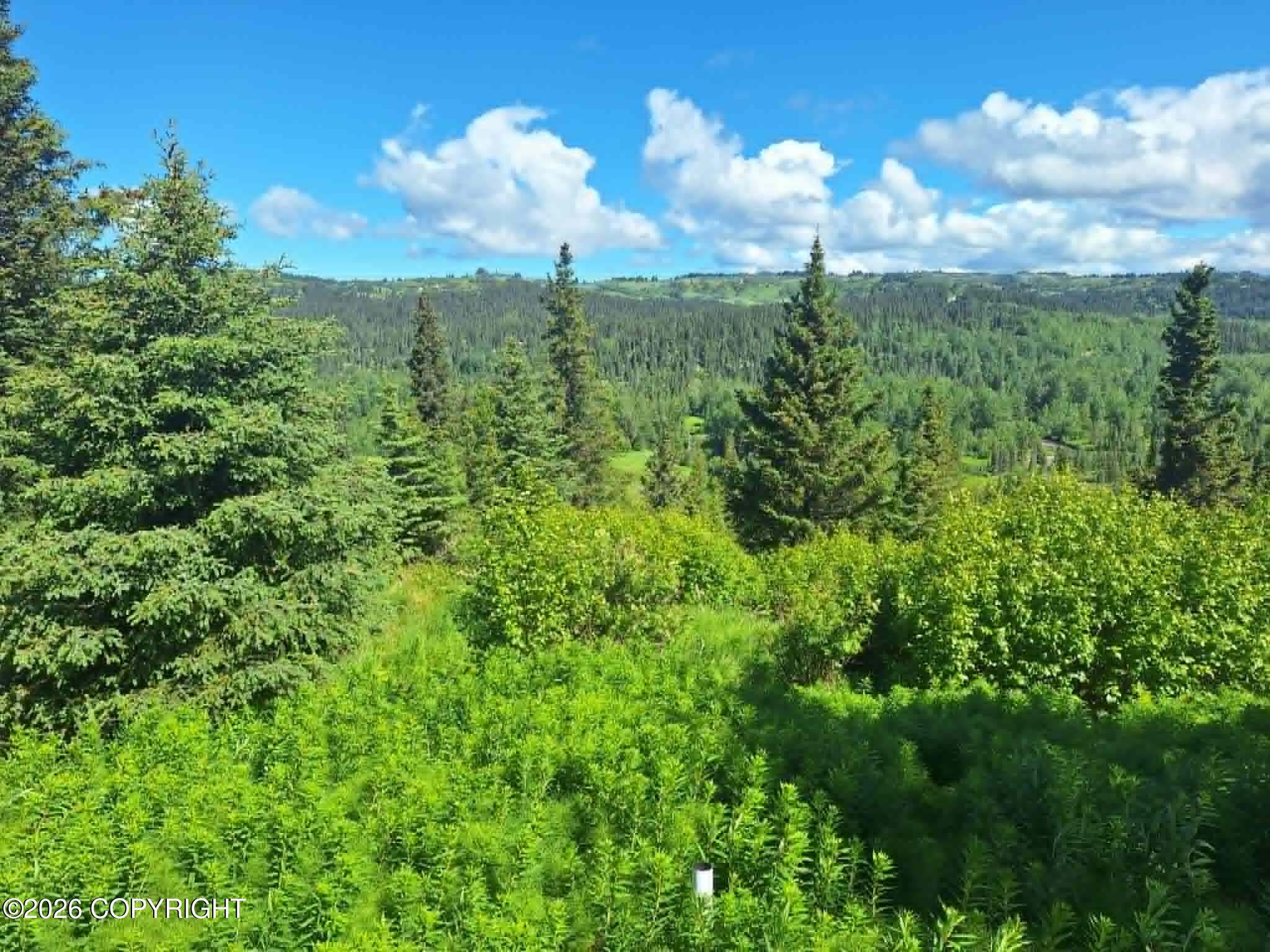 36052 N Fork Road Property Photo 3