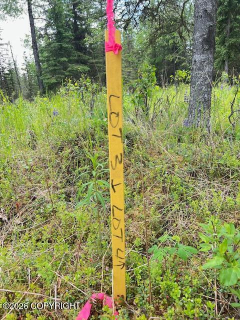 L4 Madsen Avenue Property Photo 1