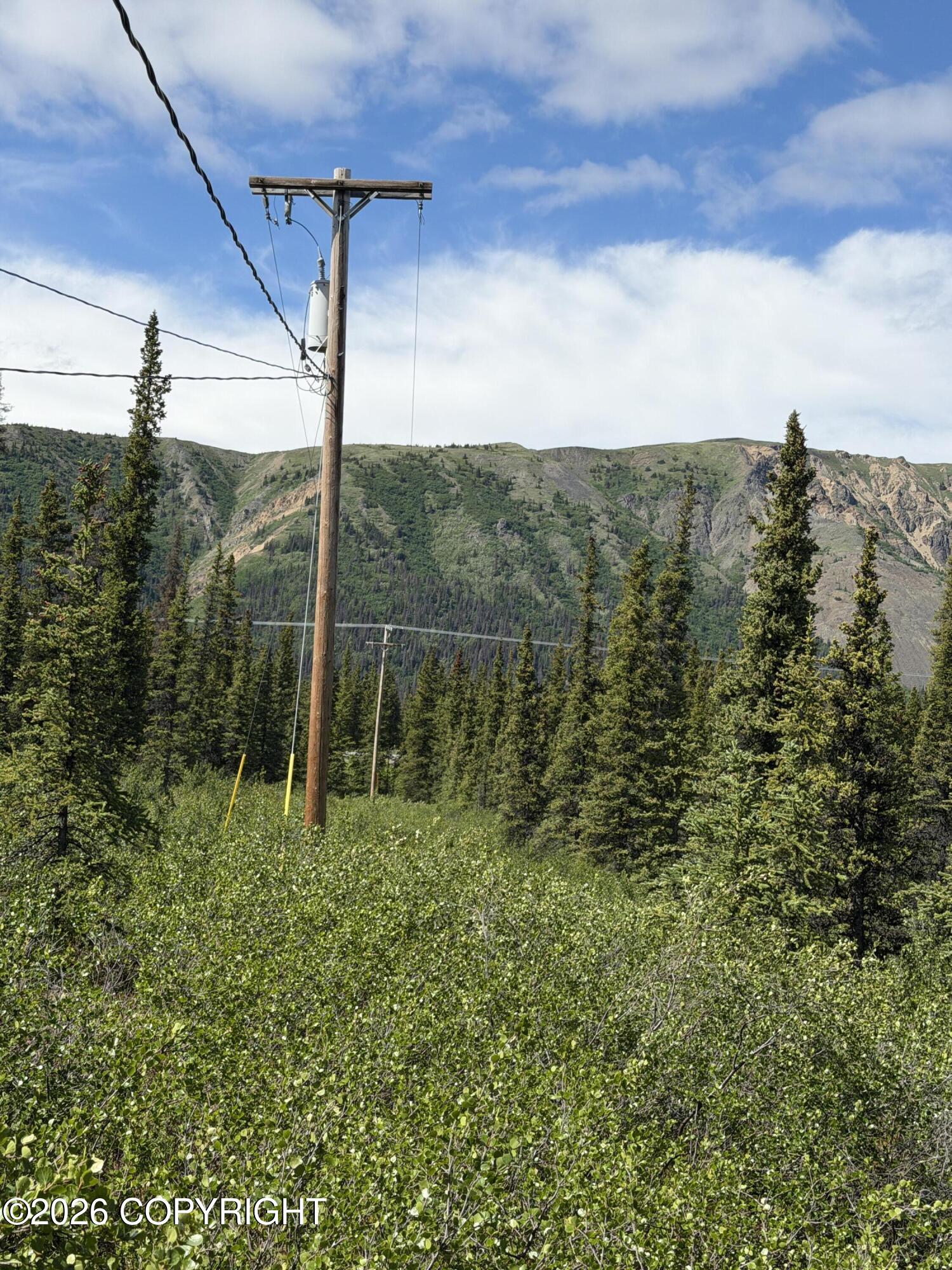 L2 Parks Highway Property Photo 10