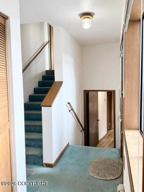 414 Cope Street Property Photo 14