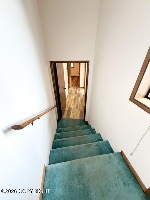 414 Cope Street Property Photo 15