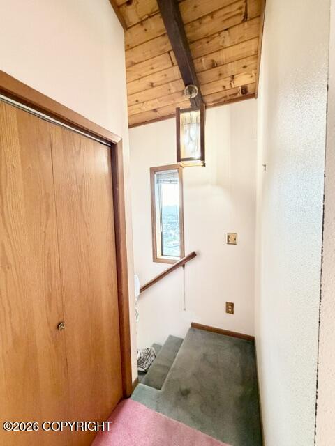 414 Cope Street Property Photo 56