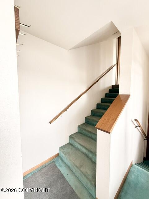 414 Cope Street Property Photo 78
