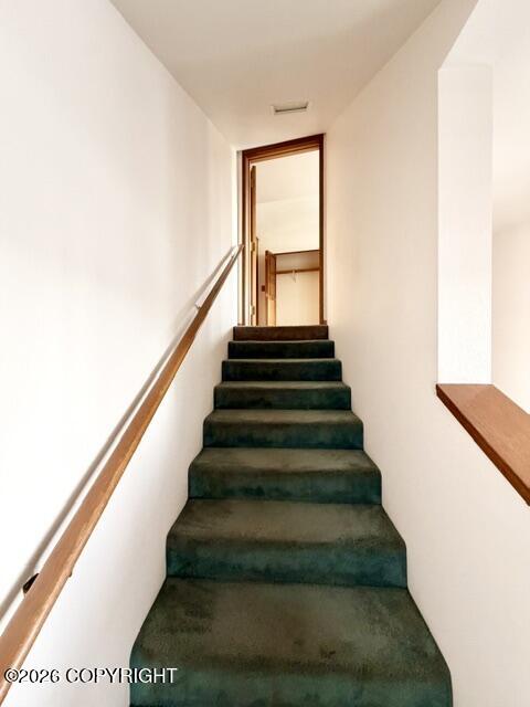 414 Cope Street Property Photo 79