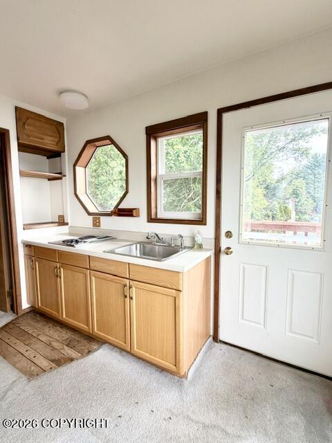 414 Cope Street Property Photo 86