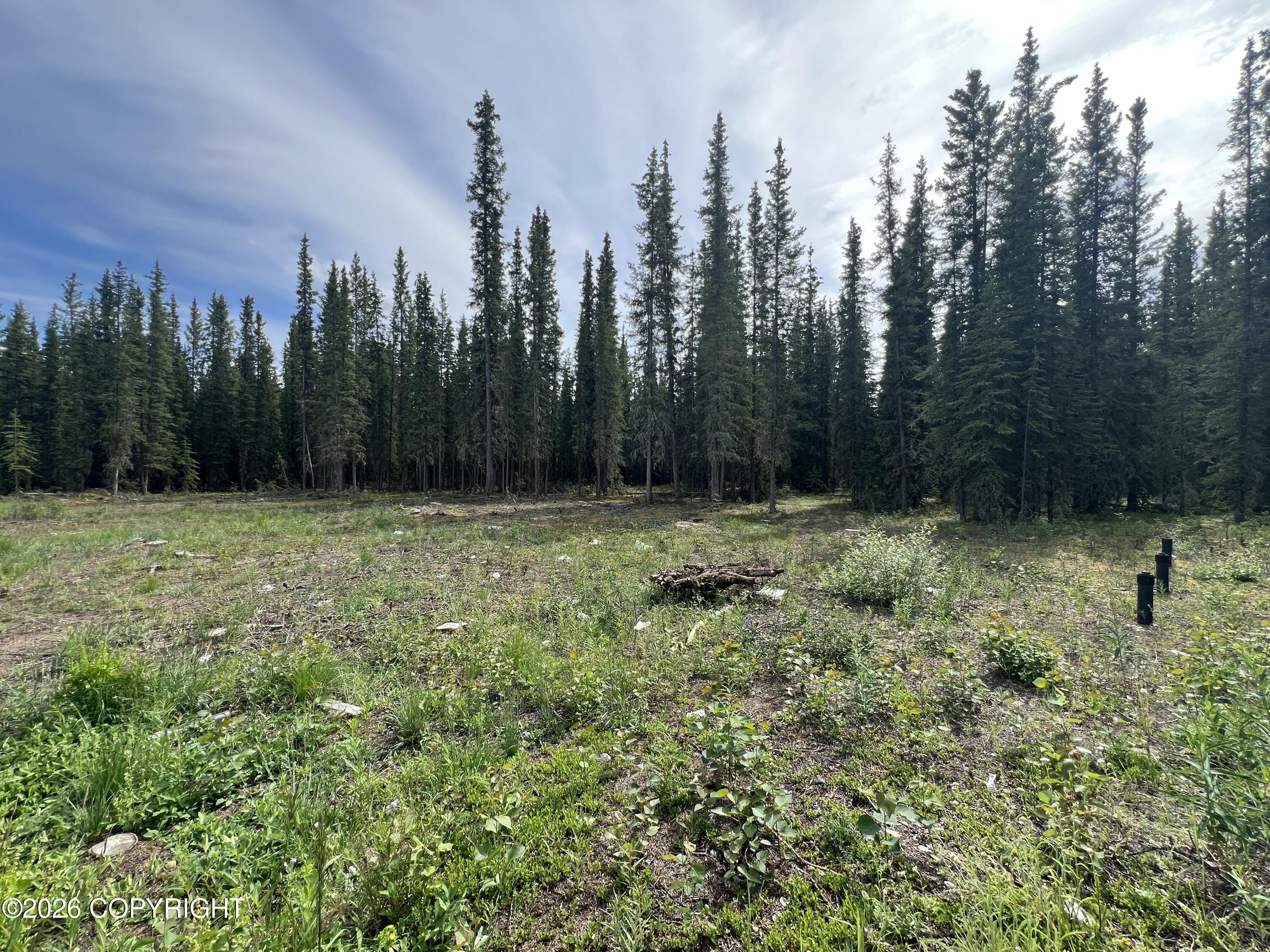 1315.5 Alaska Highway Property Photo 37