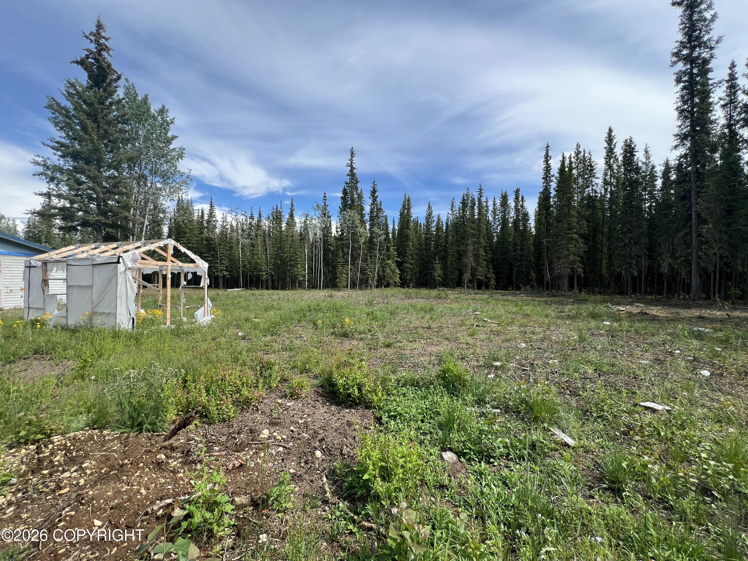 1315.5 Alaska Highway Property Photo 38