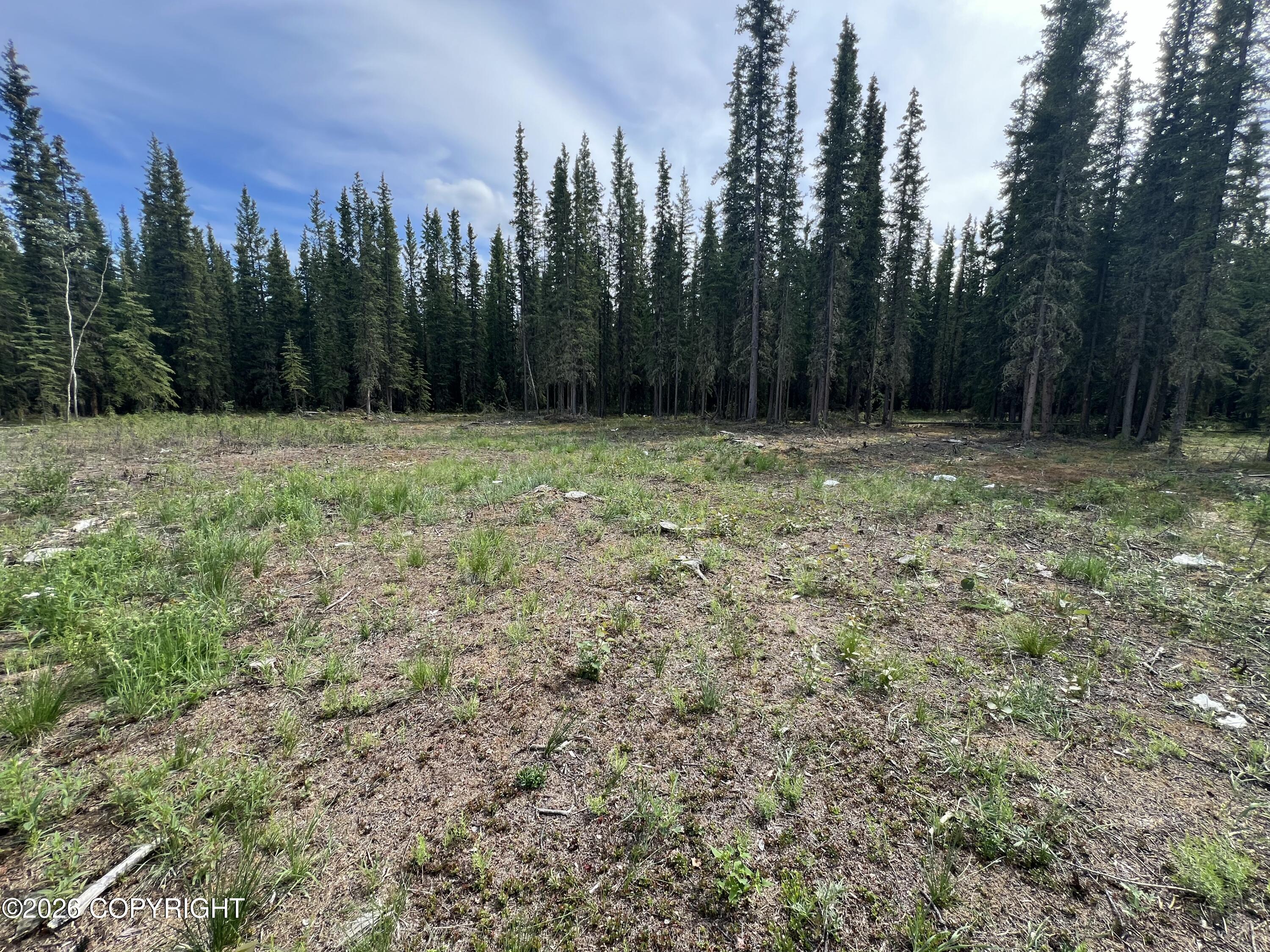 1315.5 Alaska Highway Property Photo 41