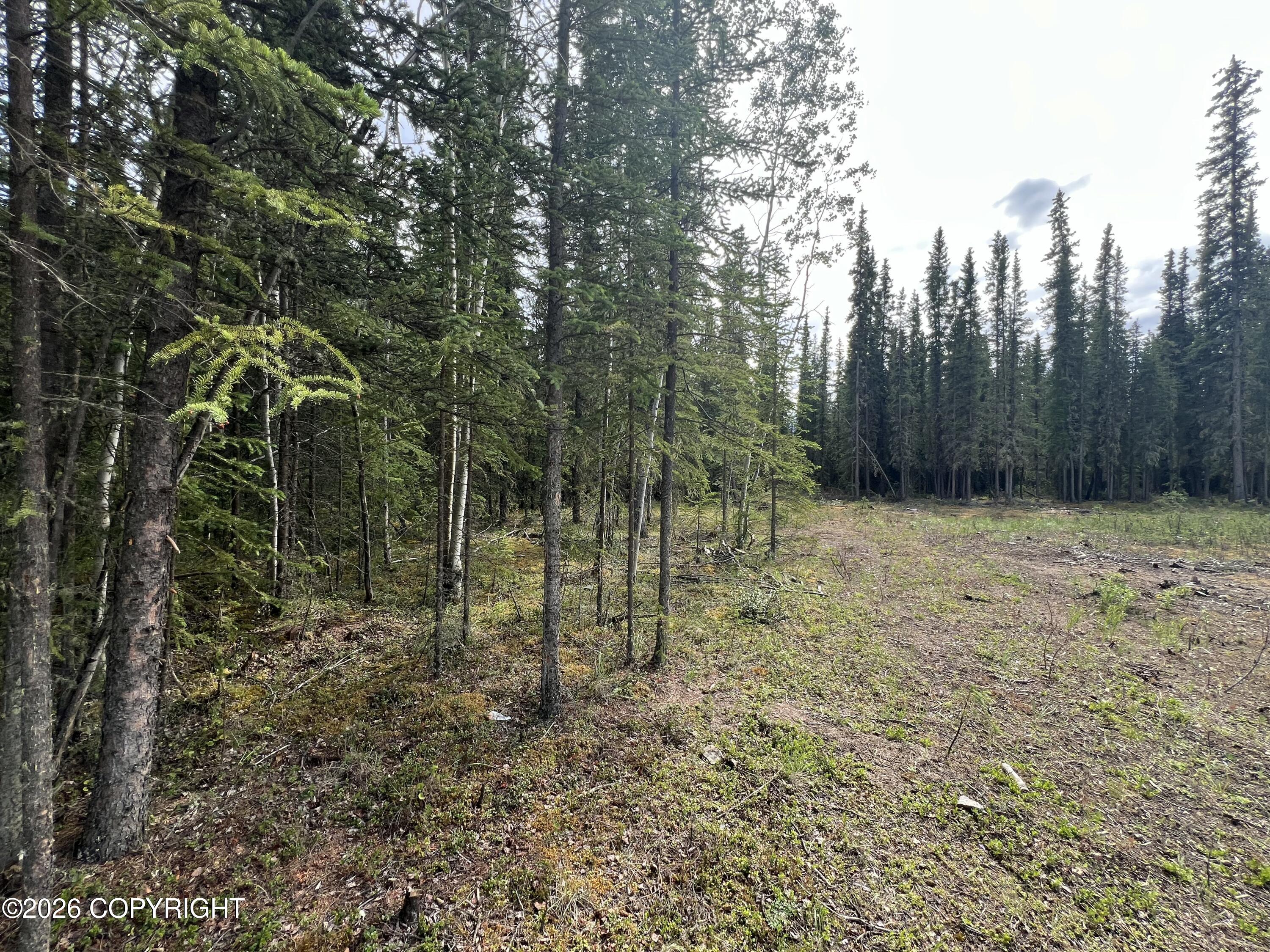 1315.5 Alaska Highway Property Photo 45